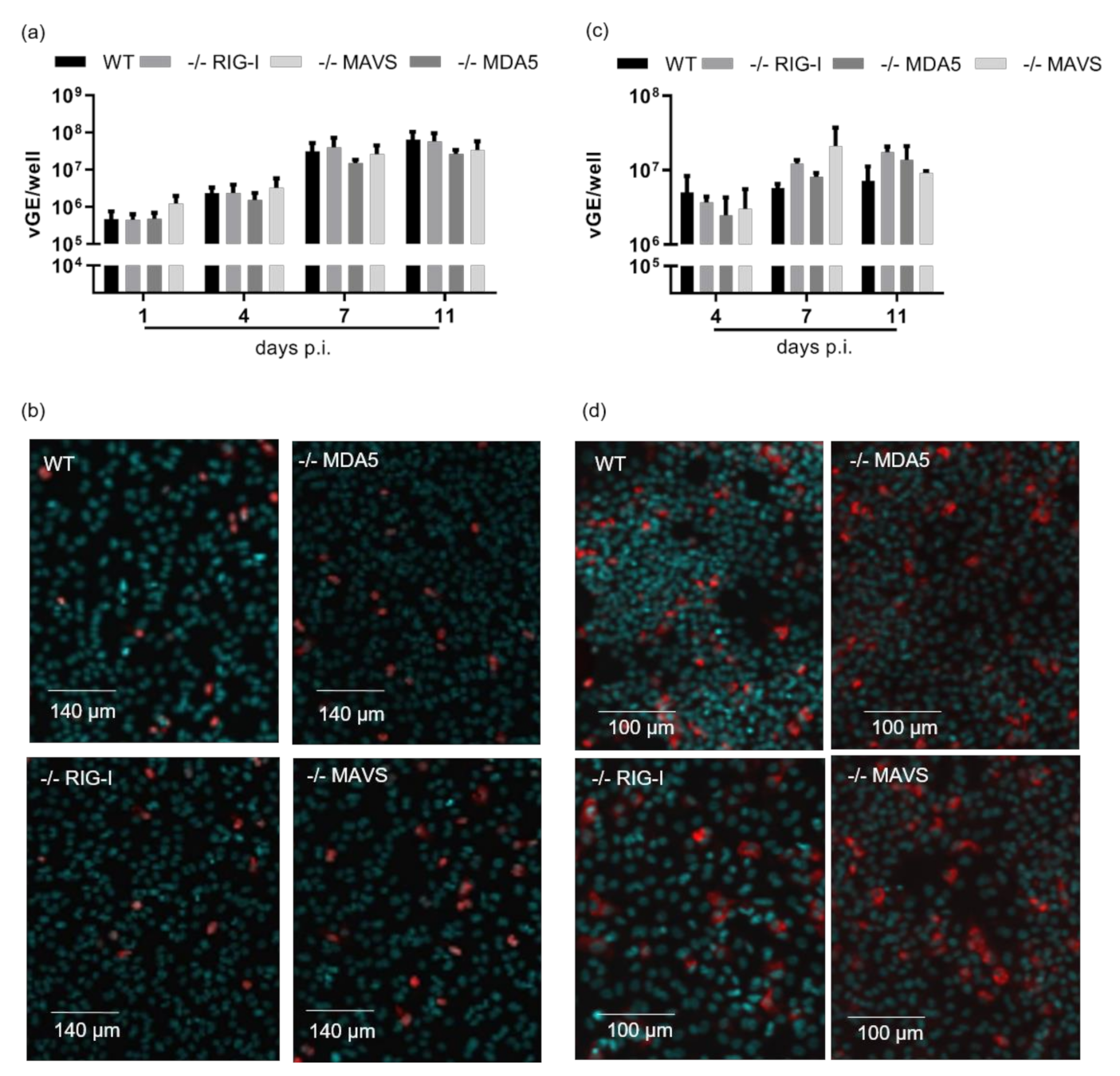 Cells 10 03253 g003 550