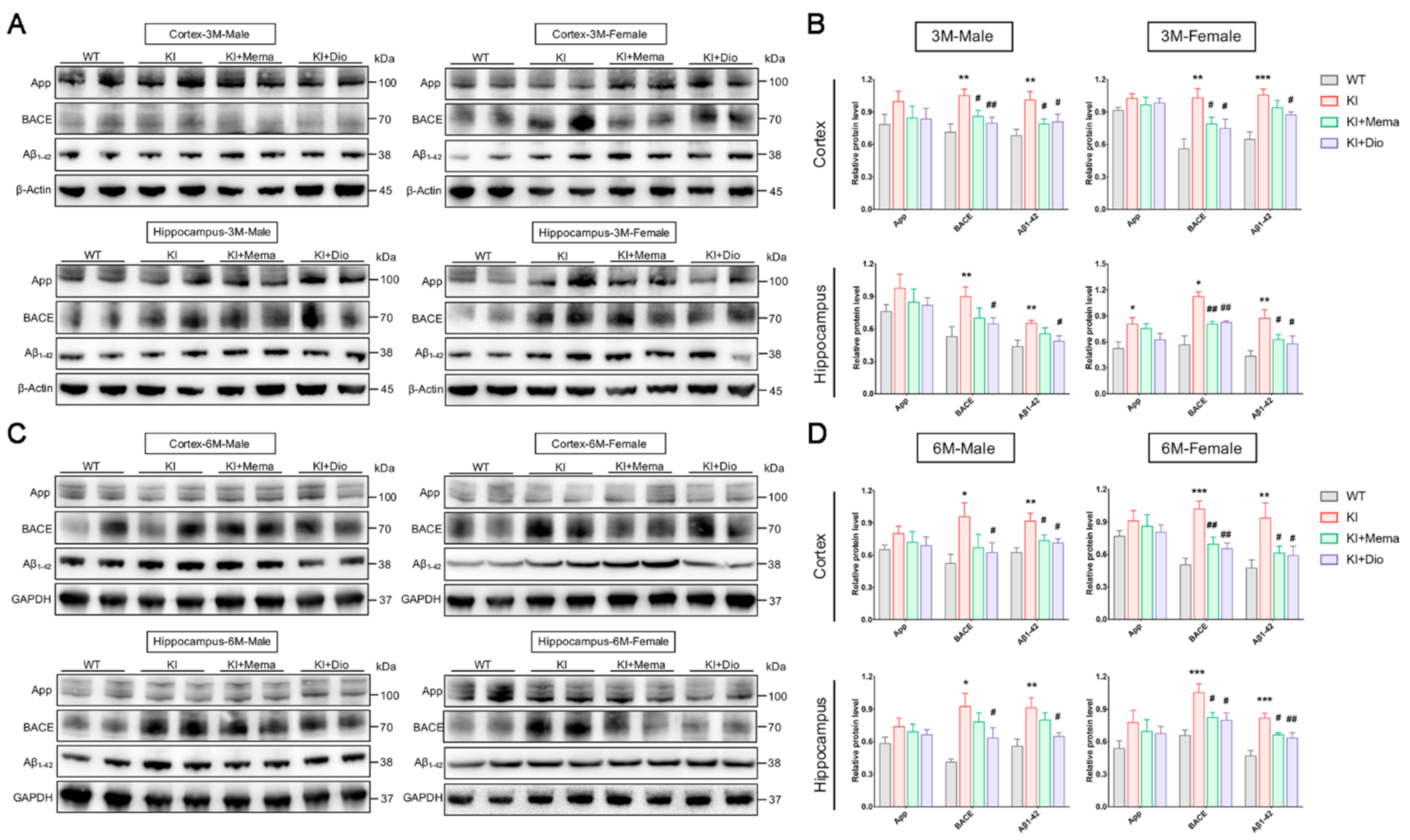 Cells 10 03261 g002a