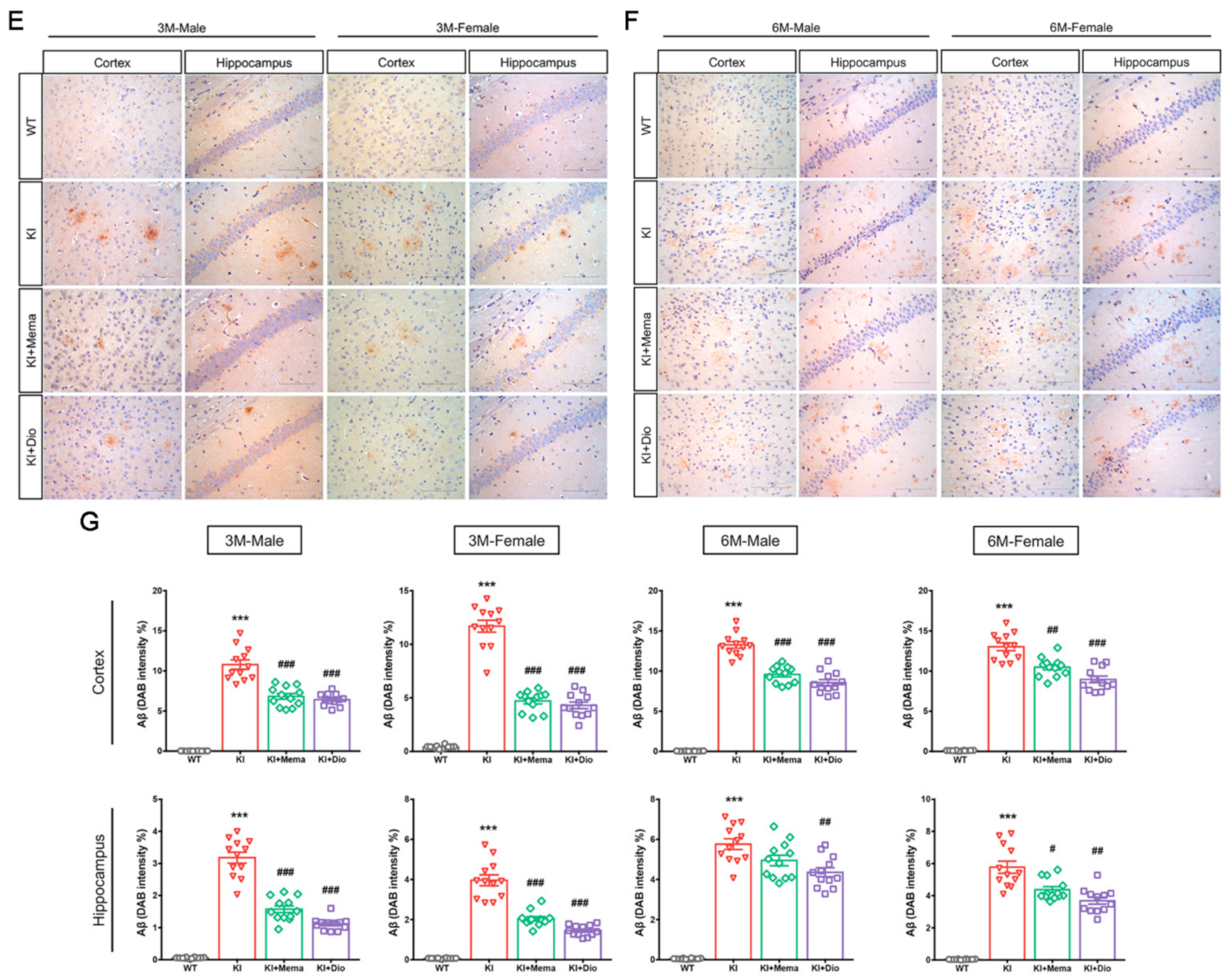 Cells 10 03261 g002b