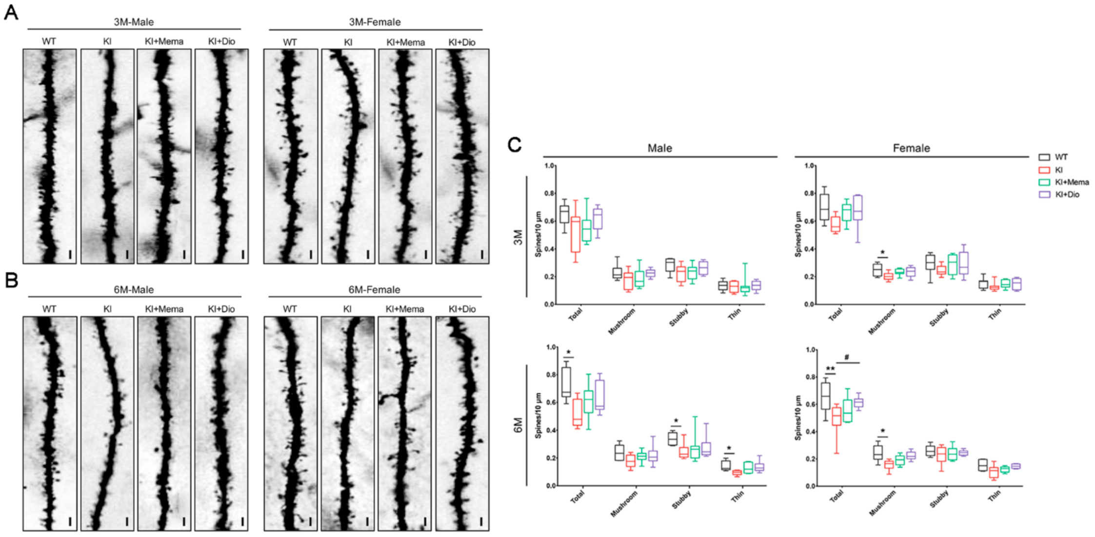 Cells 10 03261 g003a