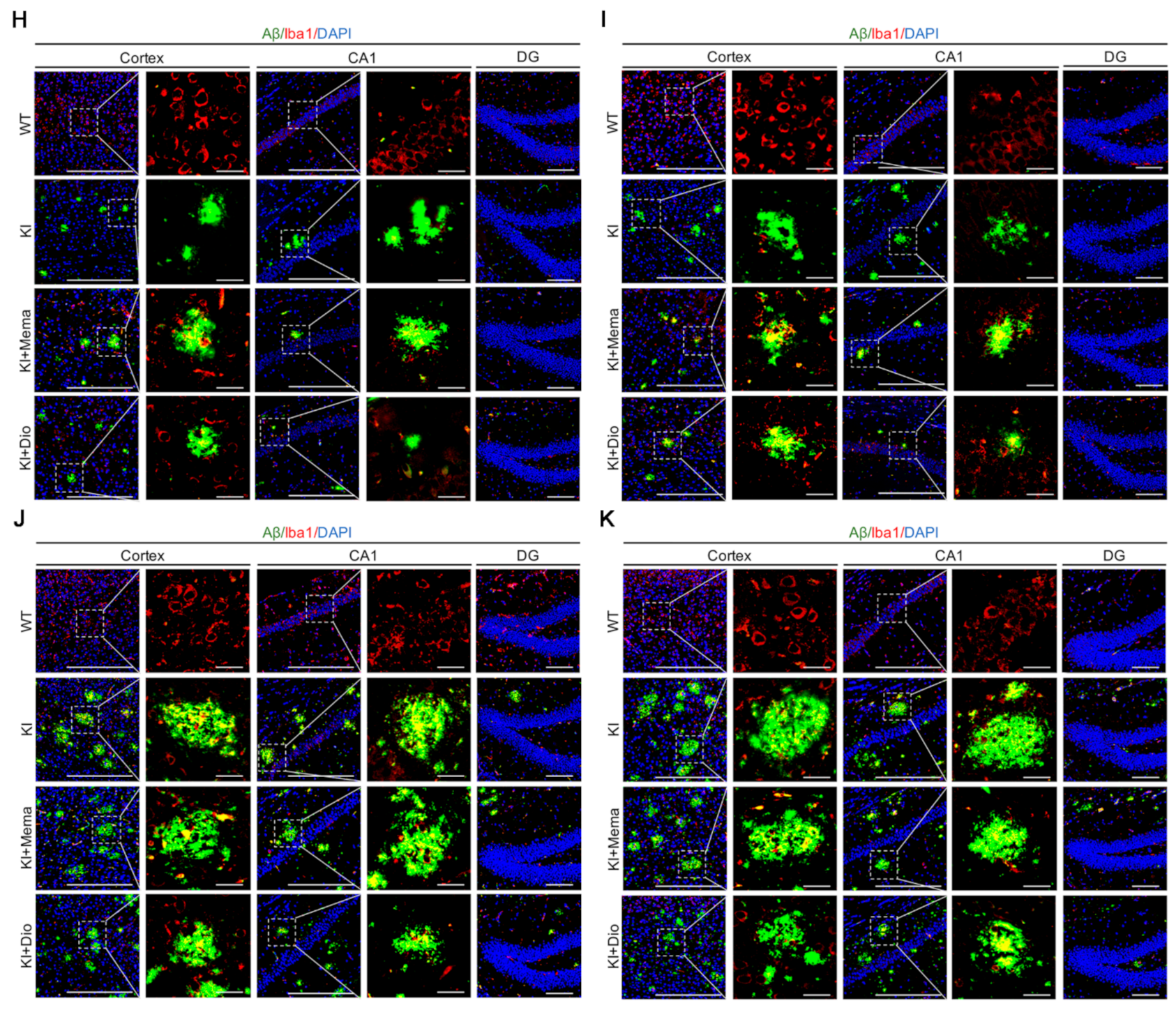 Cells 10 03261 g004b