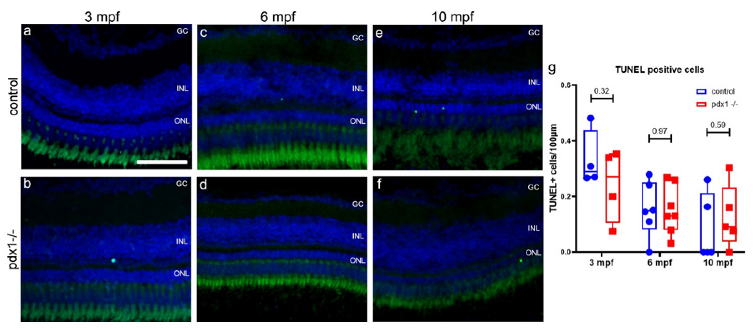 Cells 10 03265 g002 550