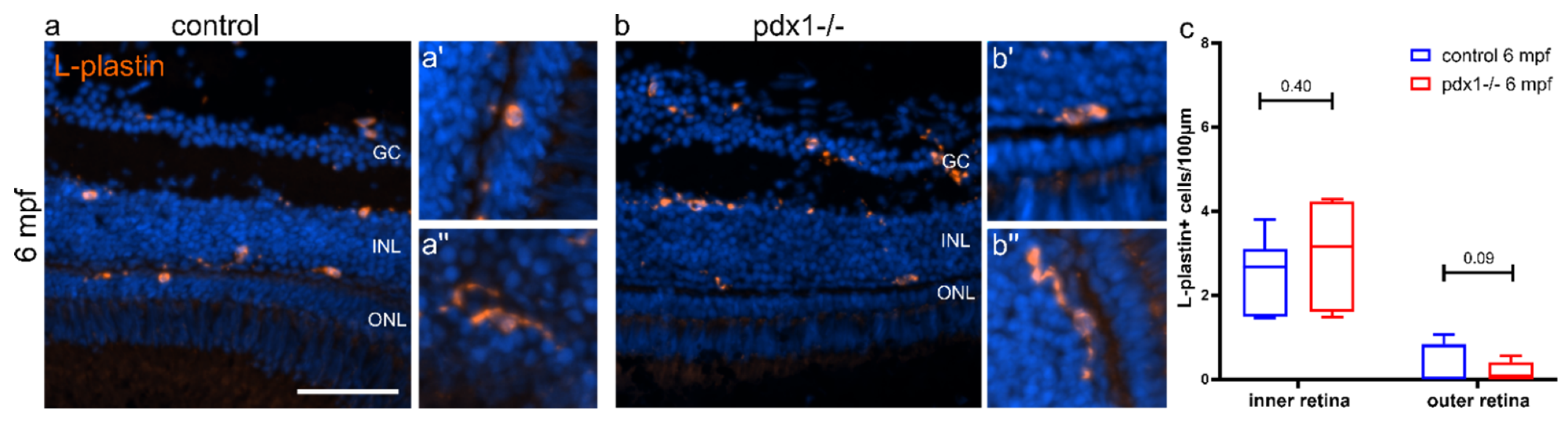 Cells 10 03265 g003 550