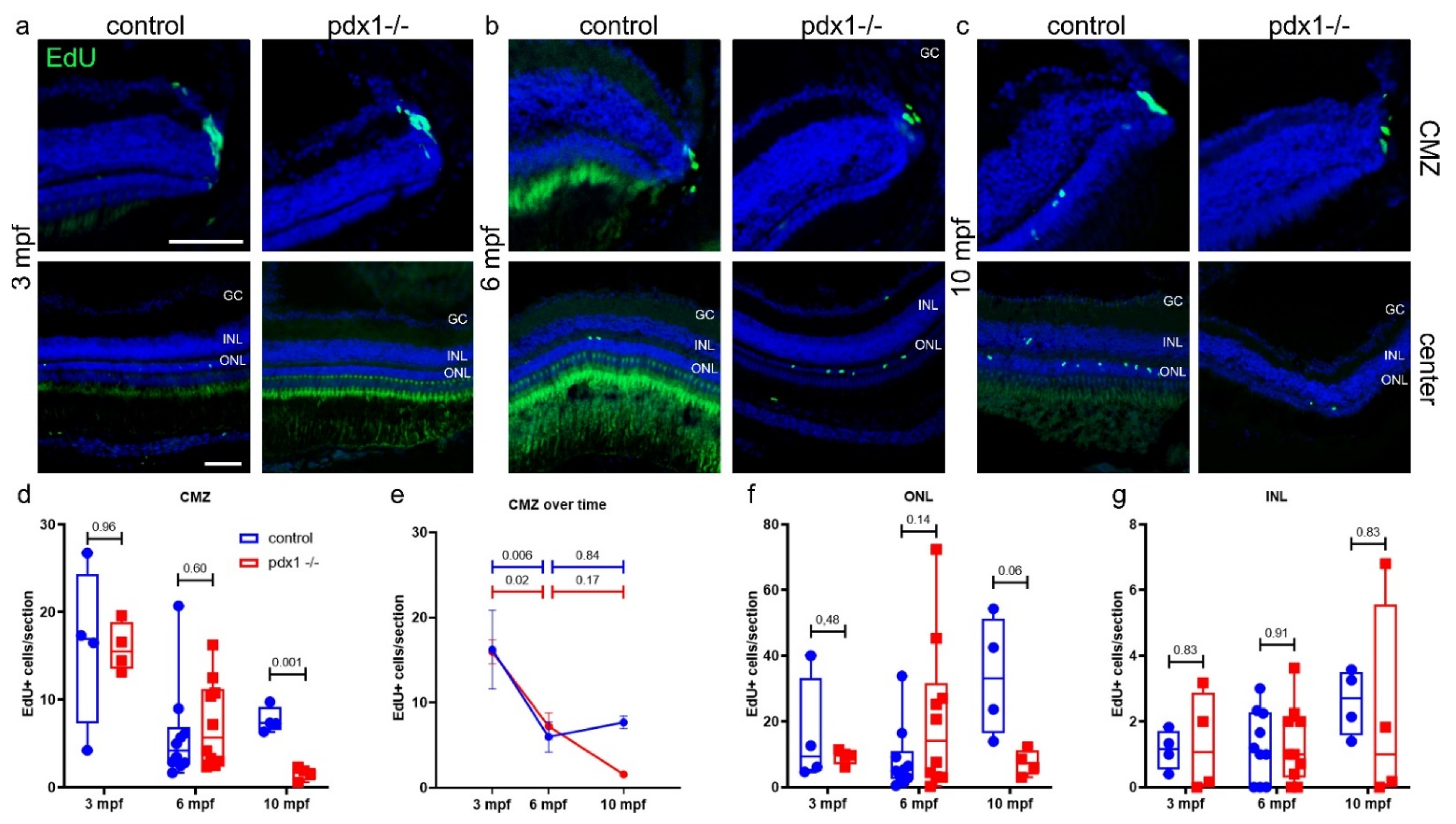 Cells 10 03265 g004 550