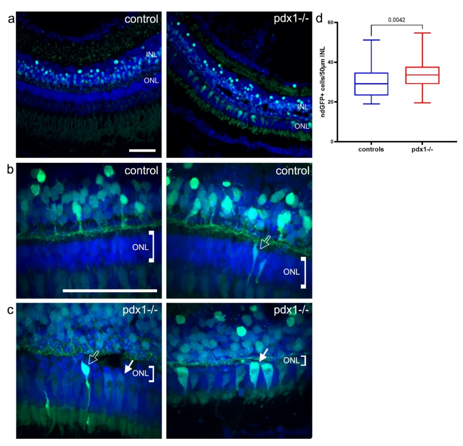 Cells 10 03265 g007 550