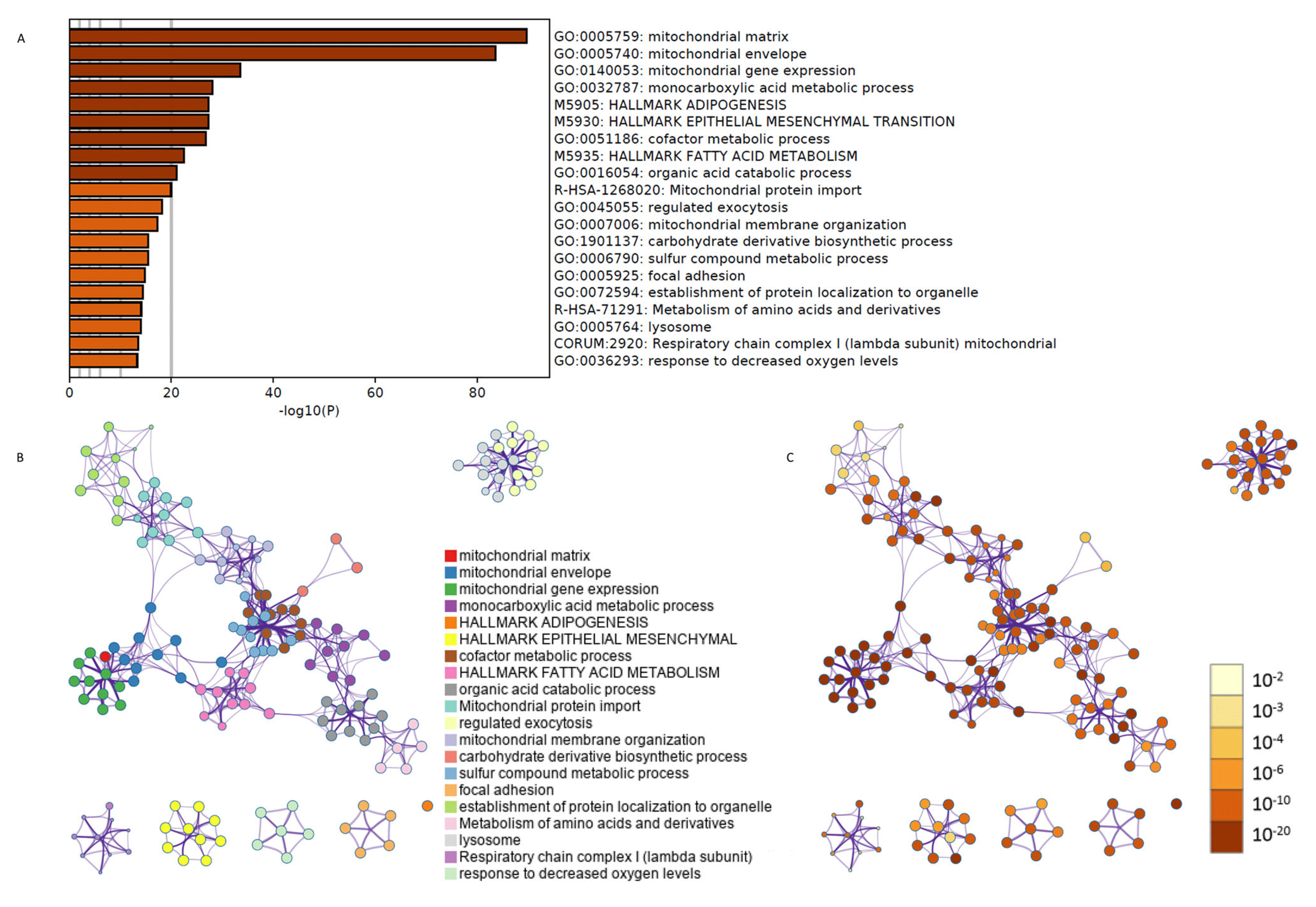 Cells 10 03268 g003 Cells 10 03268 g003