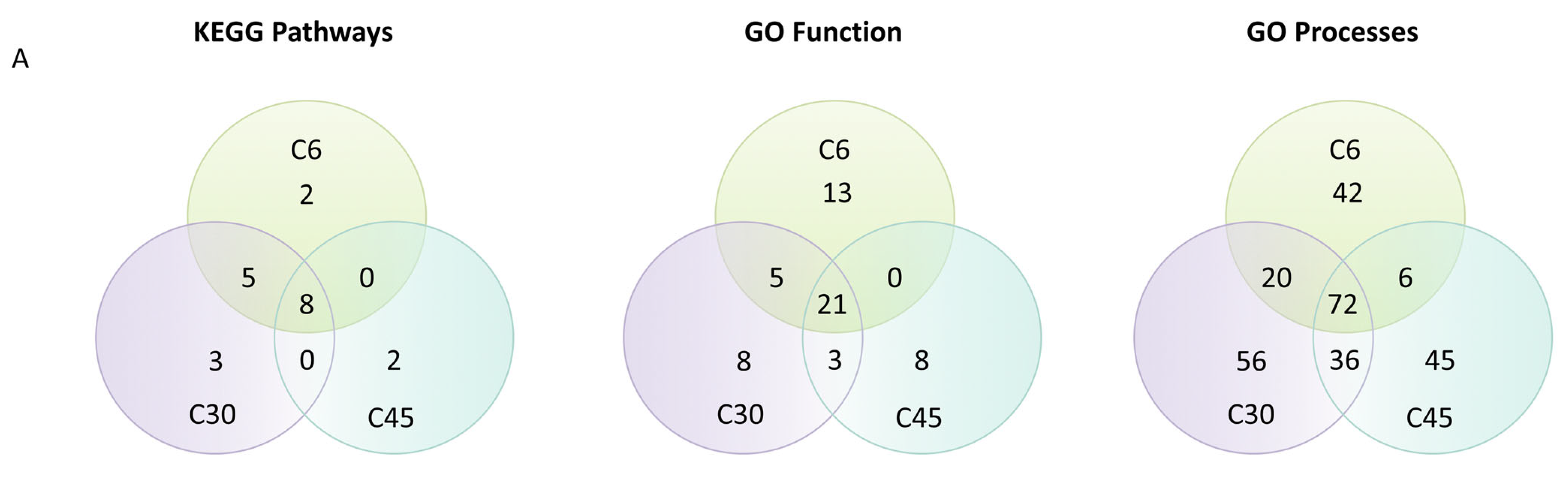 Cells 10 03268 g005a Cells 10 03268 g005a