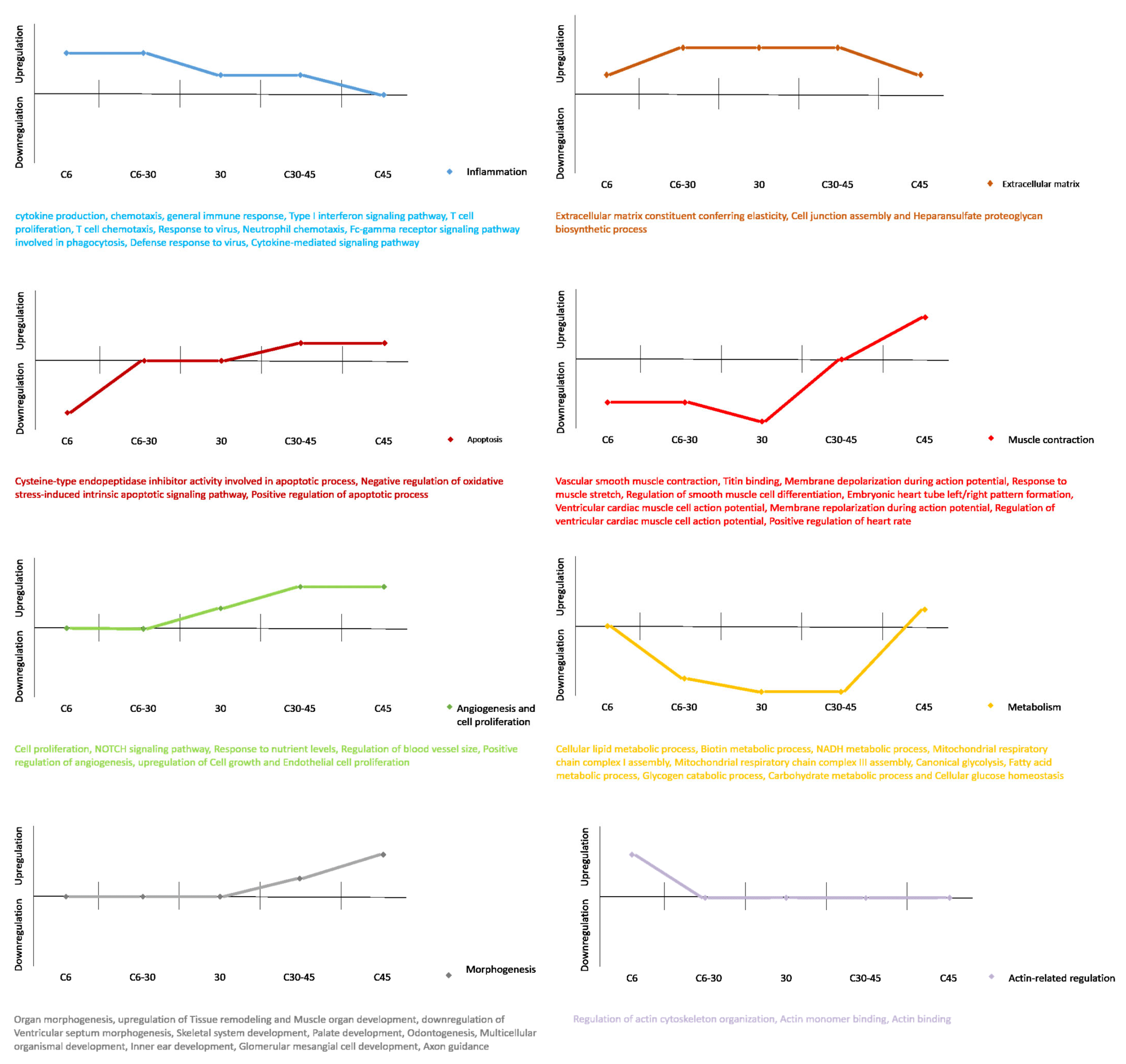 Cells 10 03268 g006 Cells 10 03268 g006