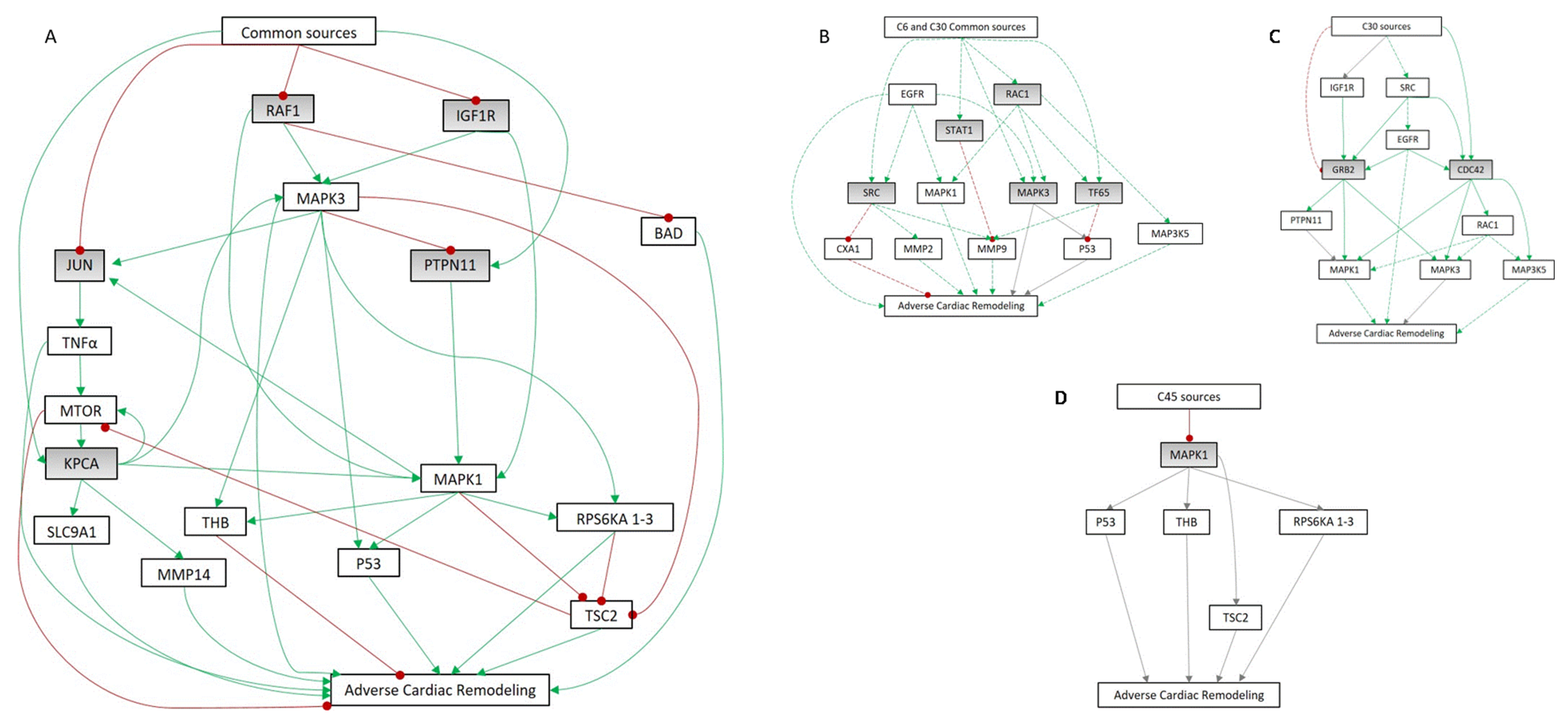 Cells 10 03268 g007 Cells 10 03268 g007