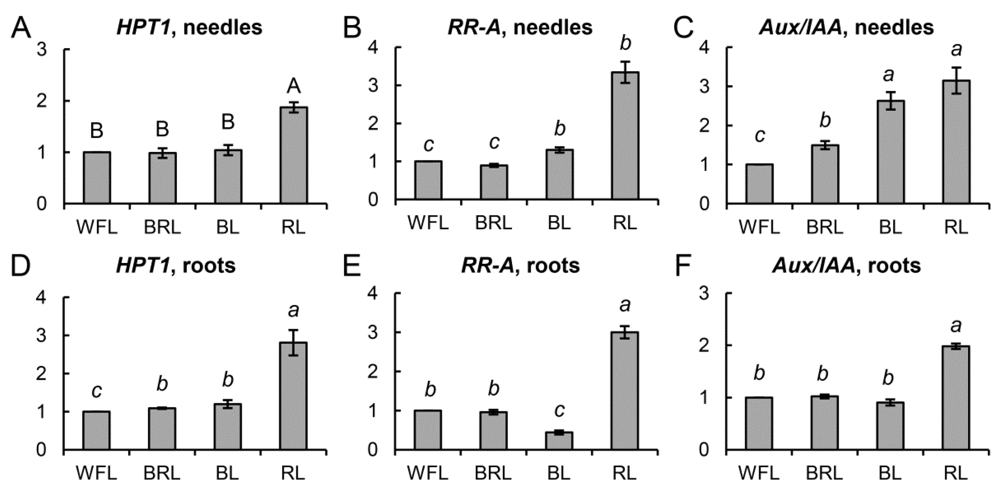 Cells 10 03284 g004 Cells 10 03284 g004