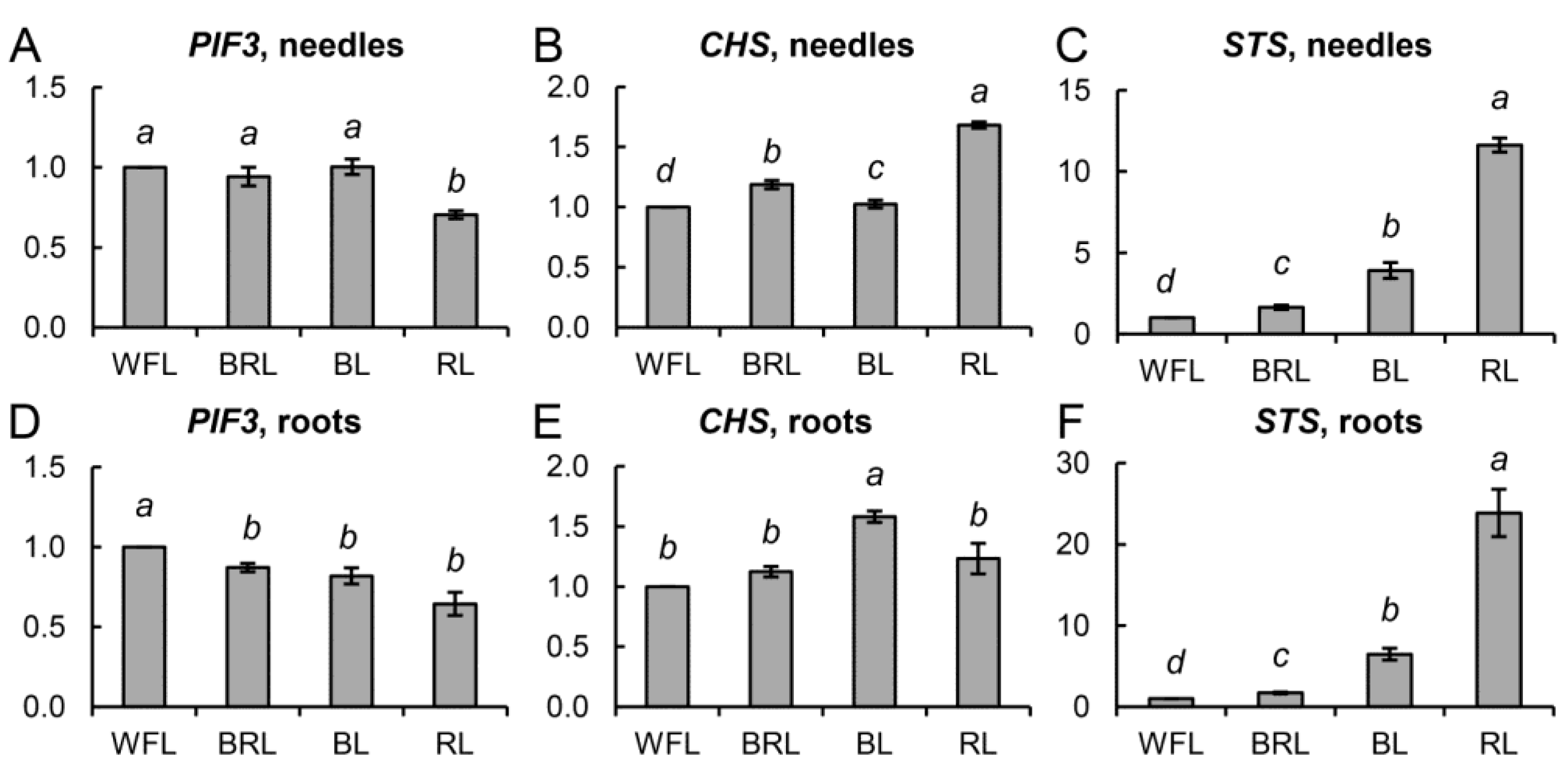 Cells 10 03284 g005 Cells 10 03284 g005