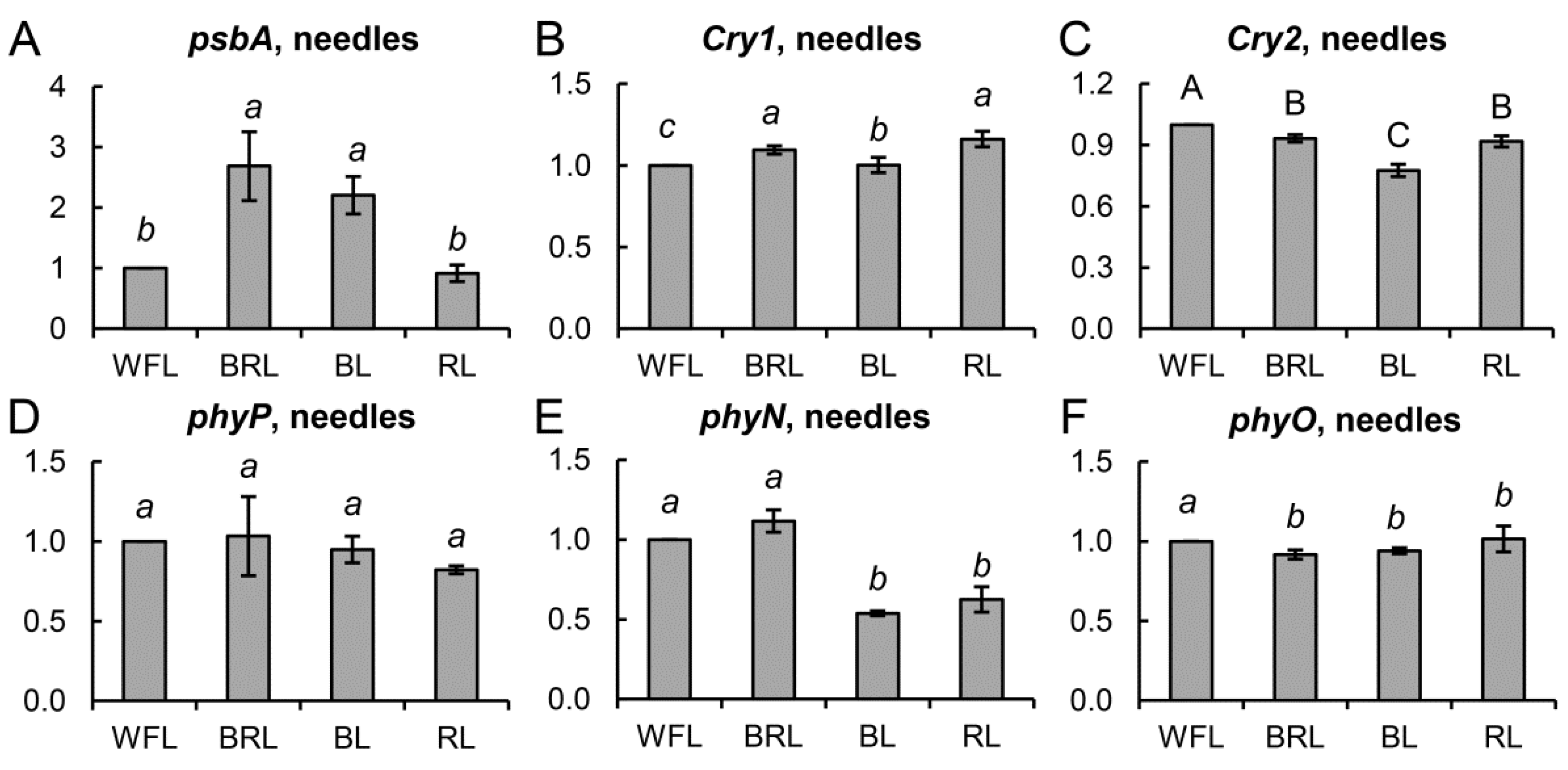 Cells 10 03284 g006 Cells 10 03284 g006