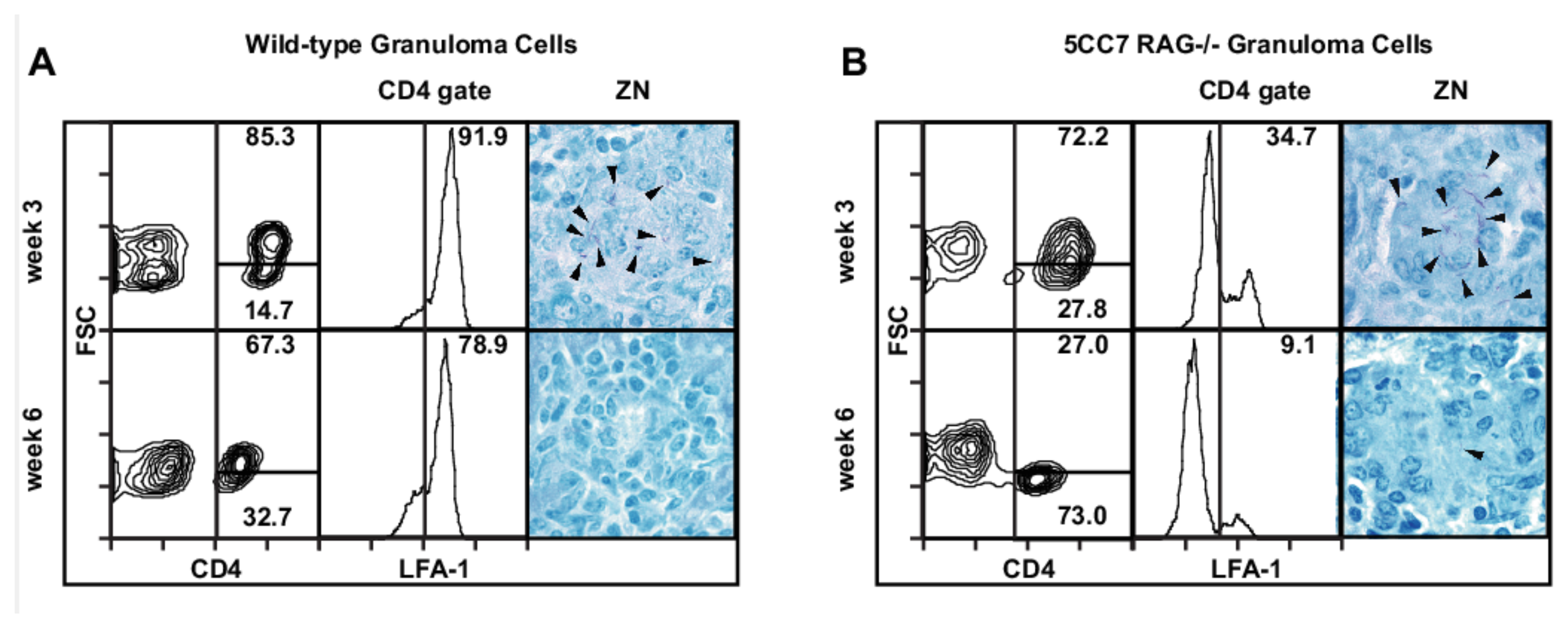 Cells 10 03285 g001 550