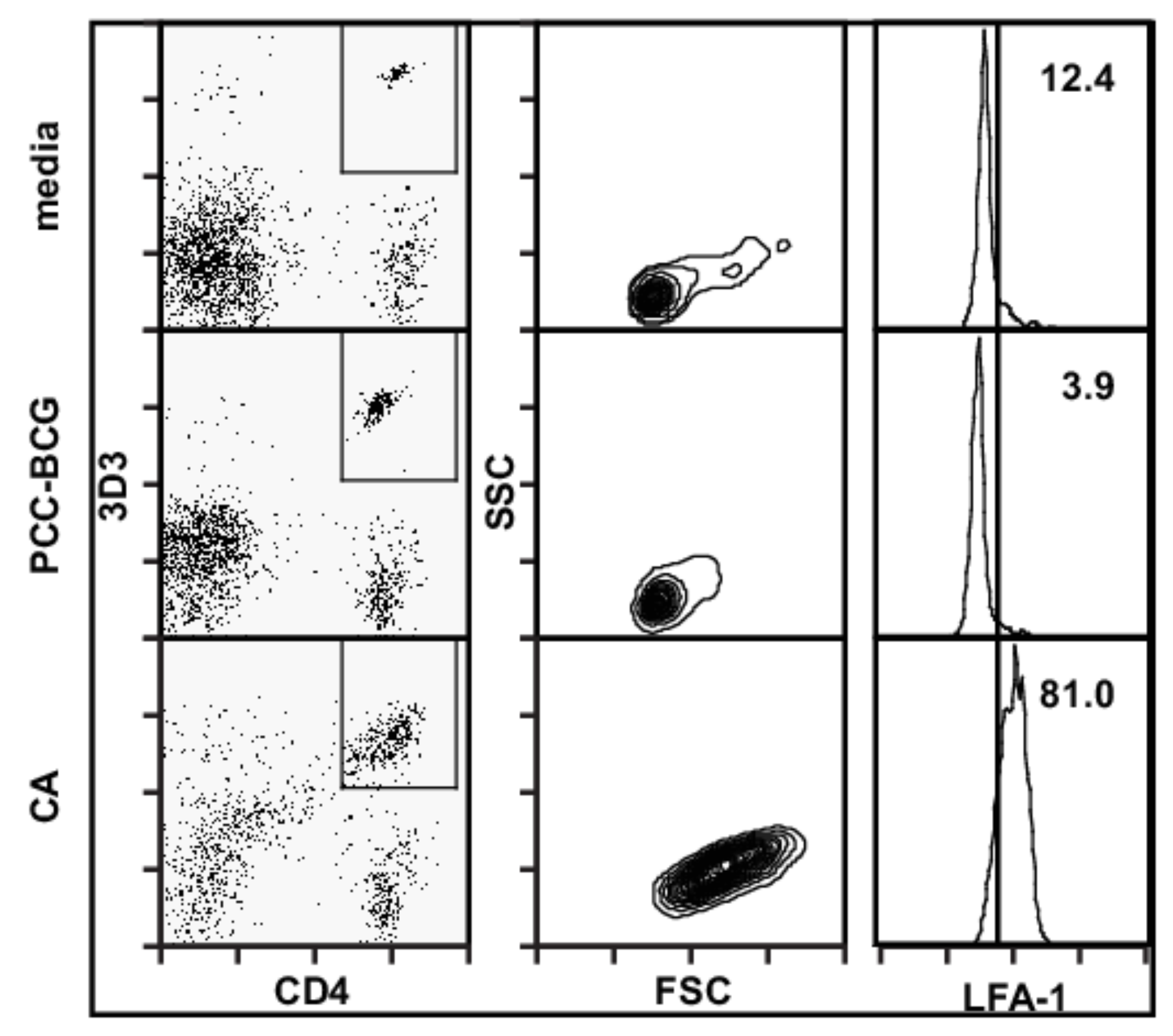 Cells 10 03285 g002 550