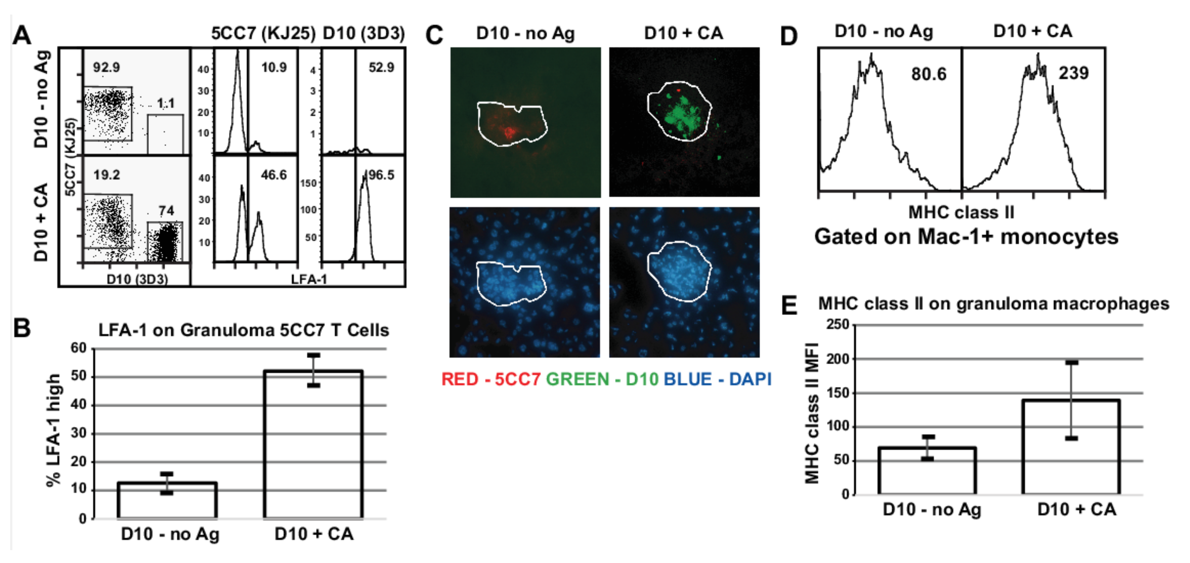 Cells 10 03285 g004 550