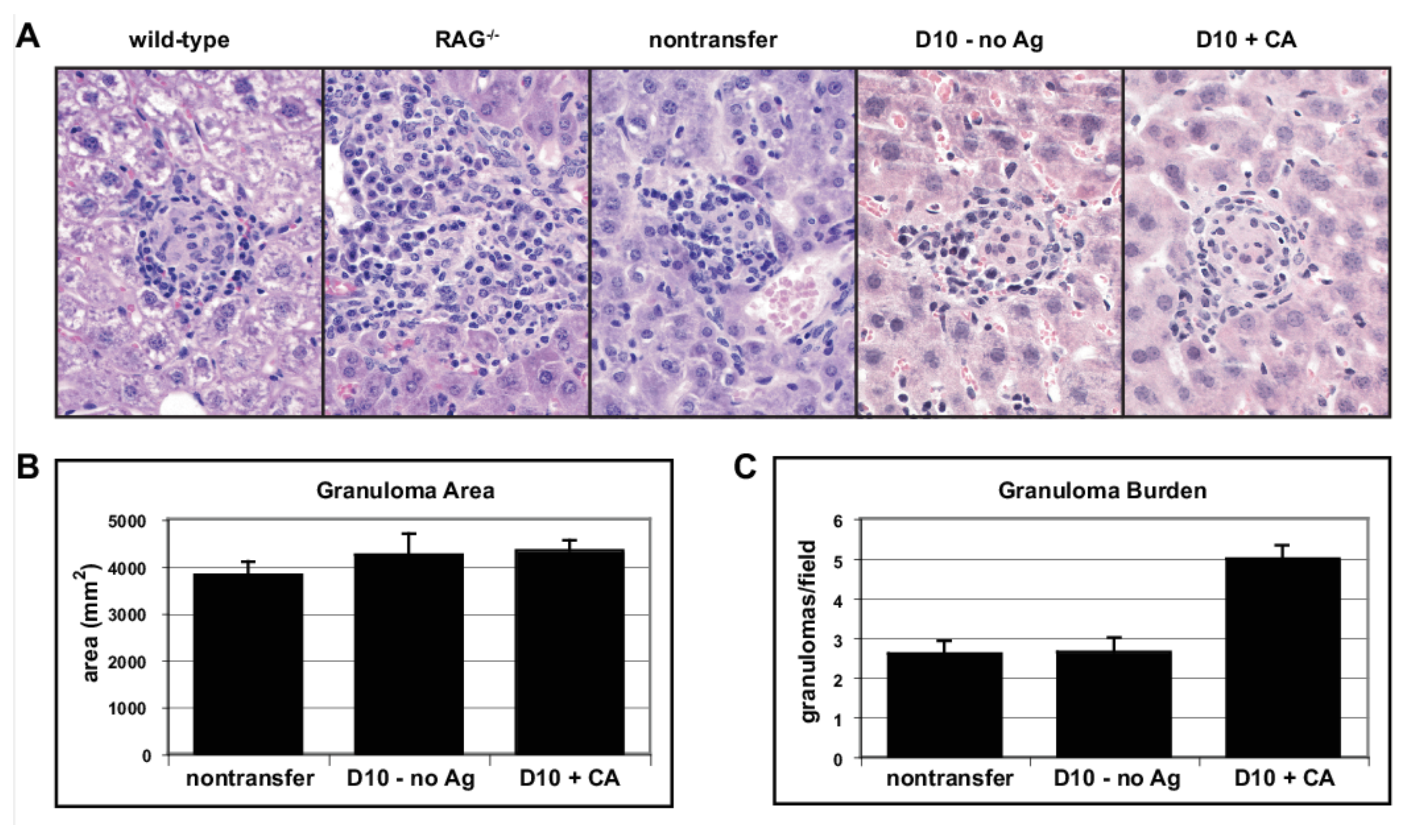 Cells 10 03285 g005 550