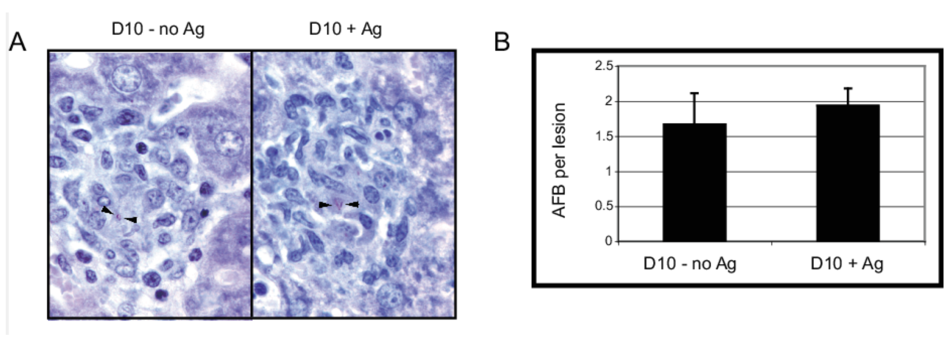 Cells 10 03285 g006 550