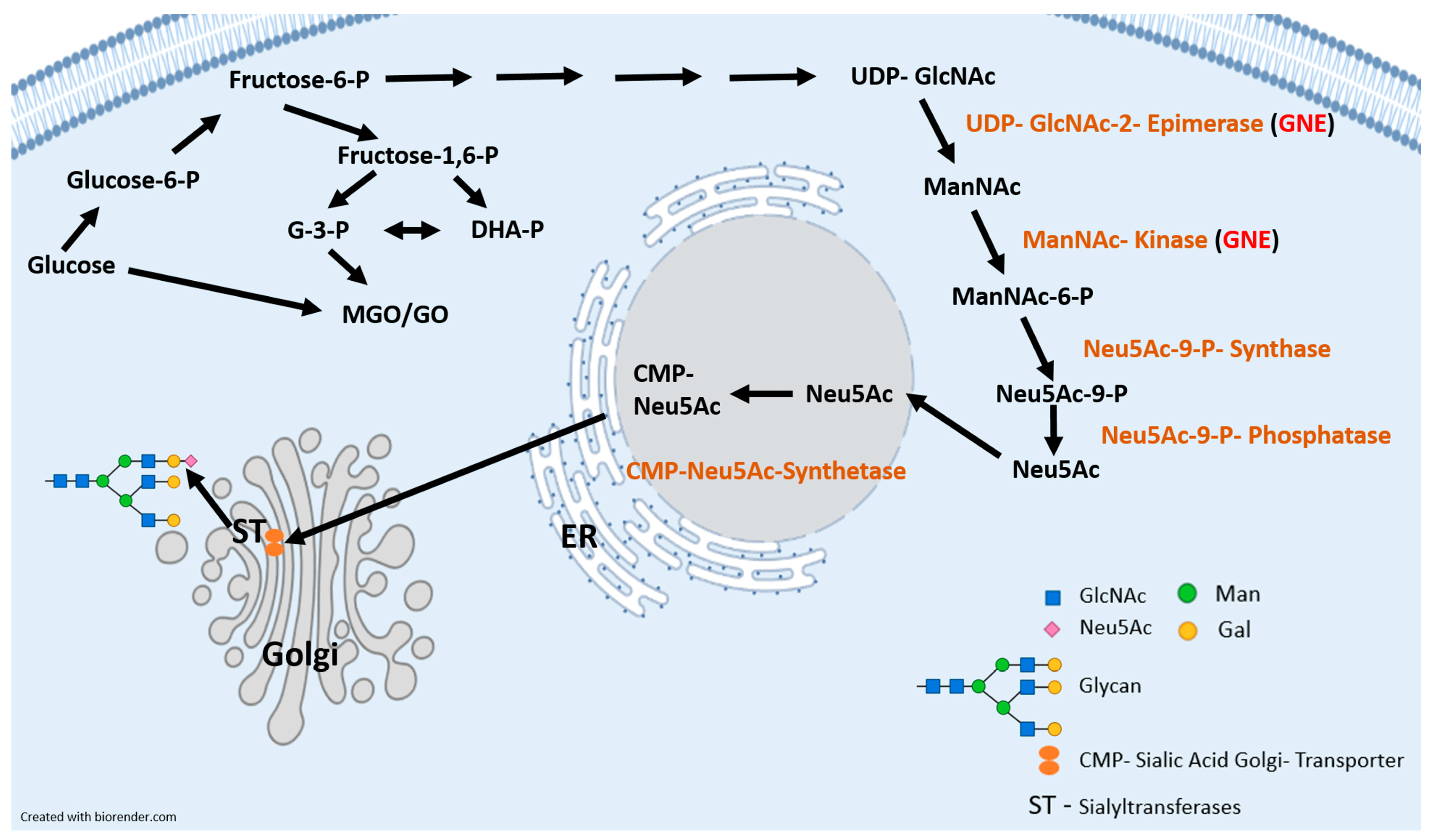 Cells 10 03298 g001 Cells 10 03298 g001