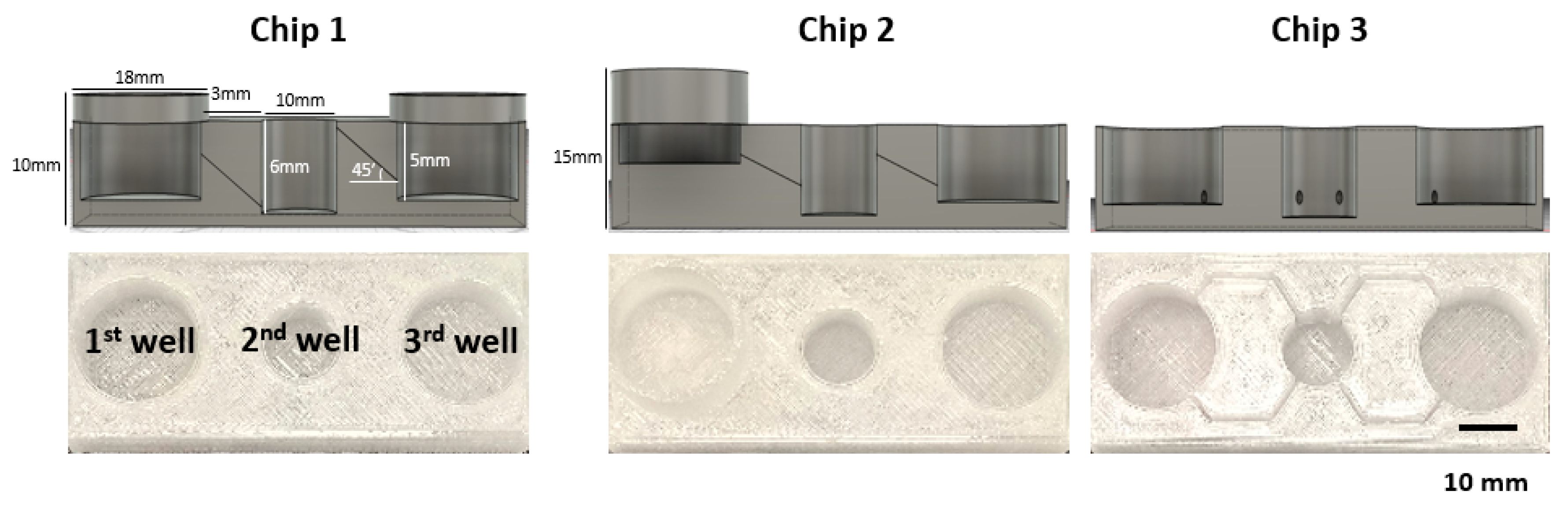 Cells 10 03301 g002 550