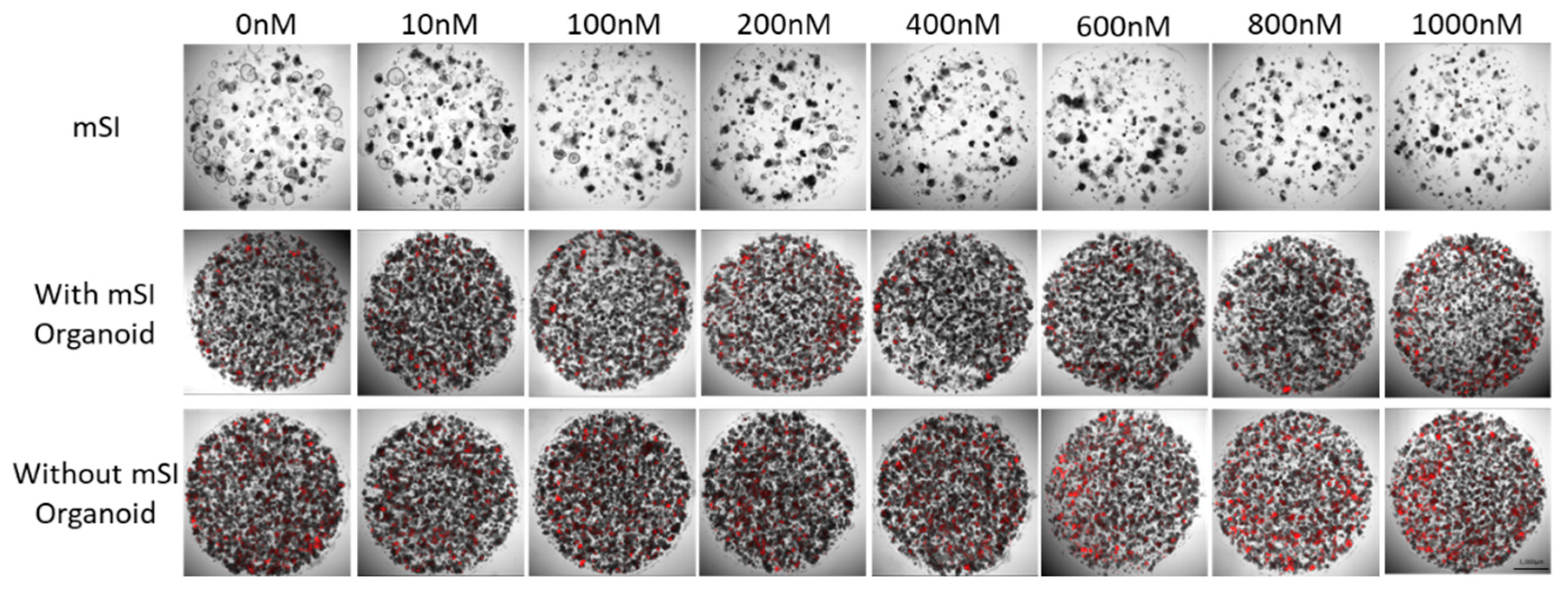 Cells 10 03301 g005 550