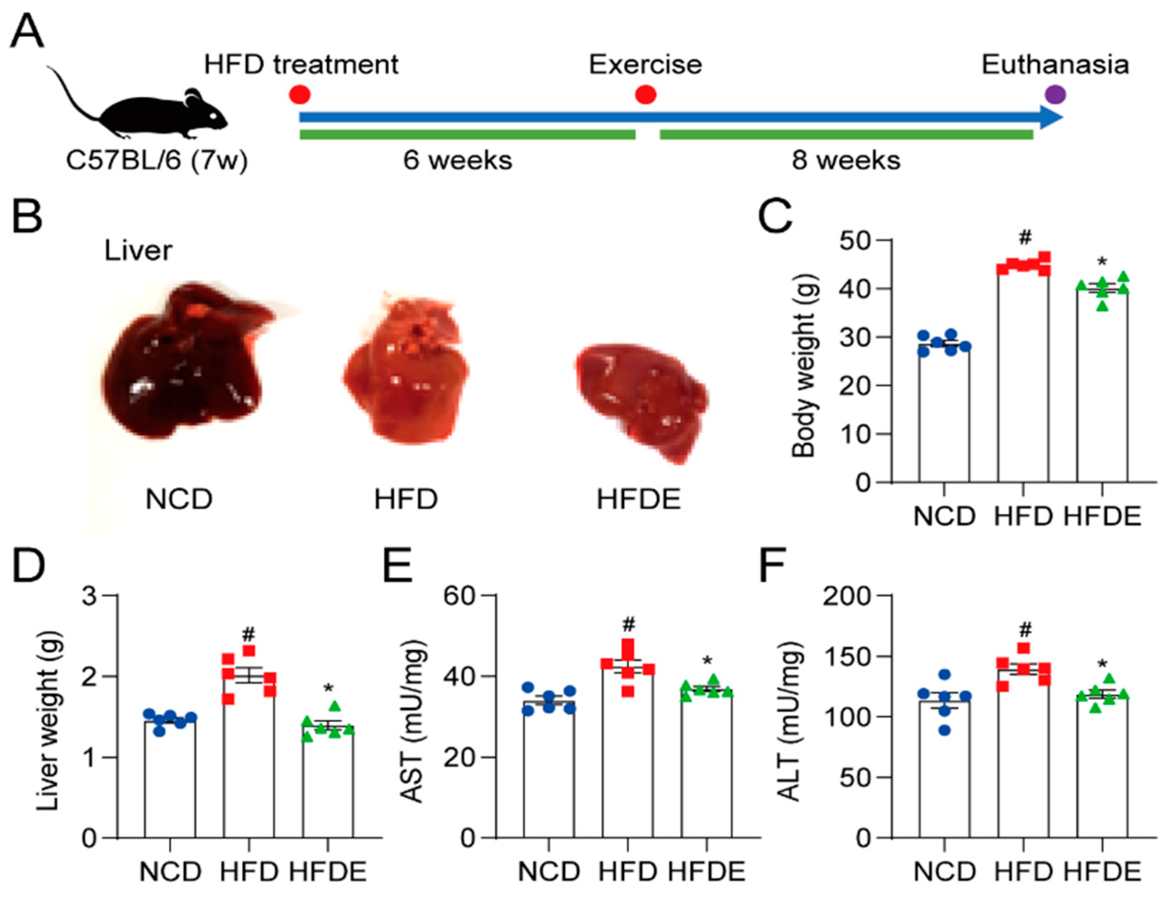 Cells 10 03306 g001 550