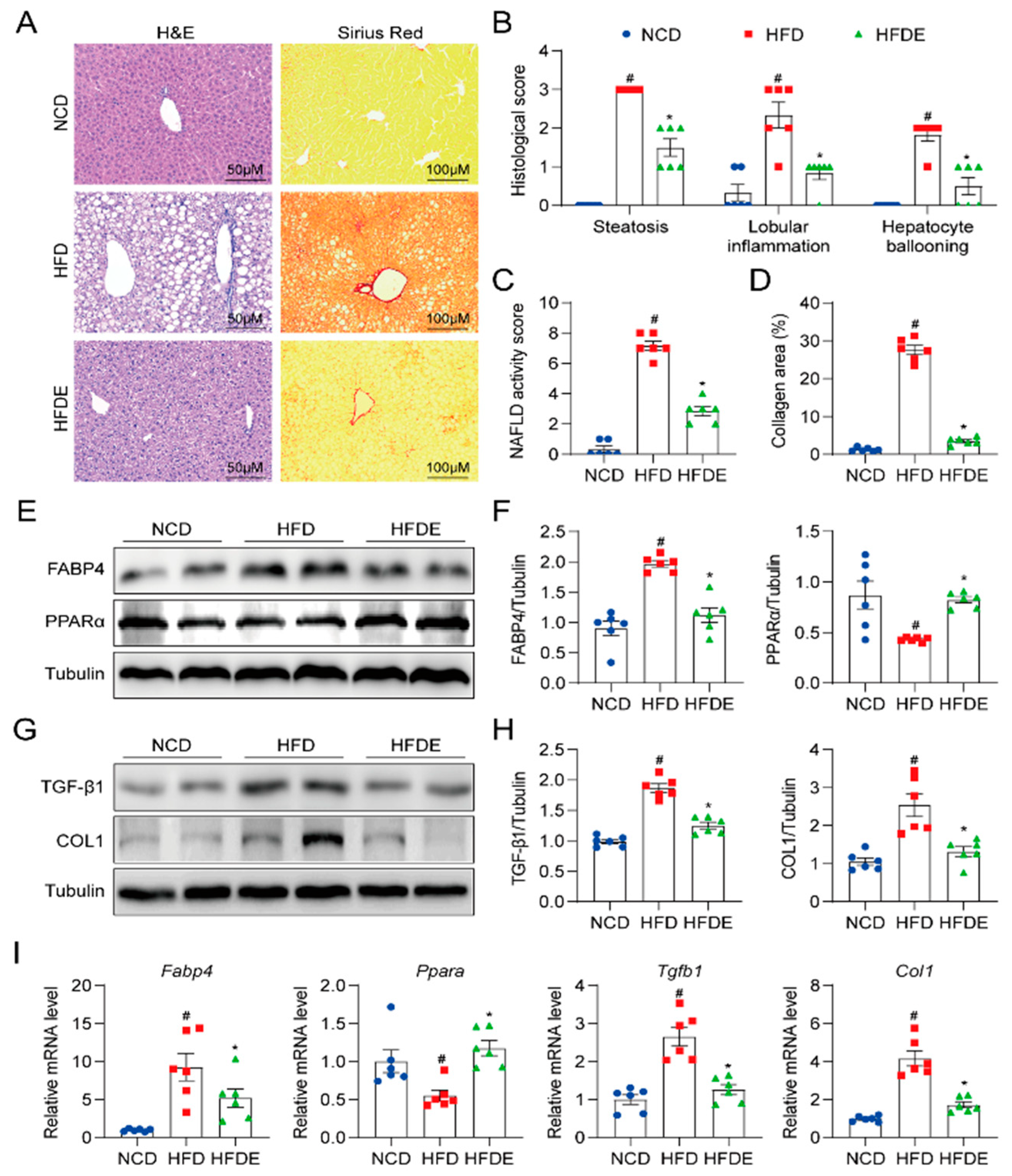 Cells 10 03306 g002 550