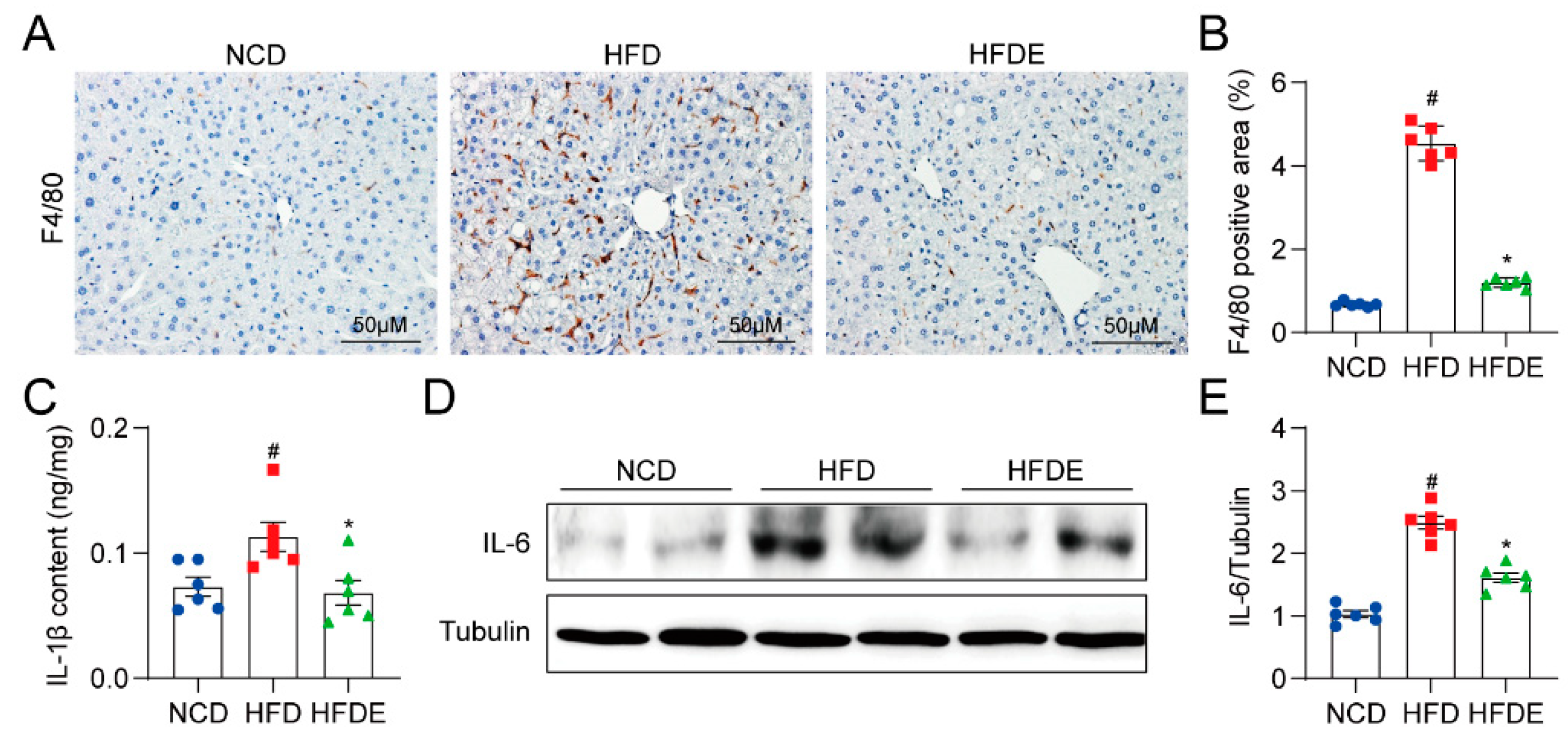 Cells 10 03306 g003 550