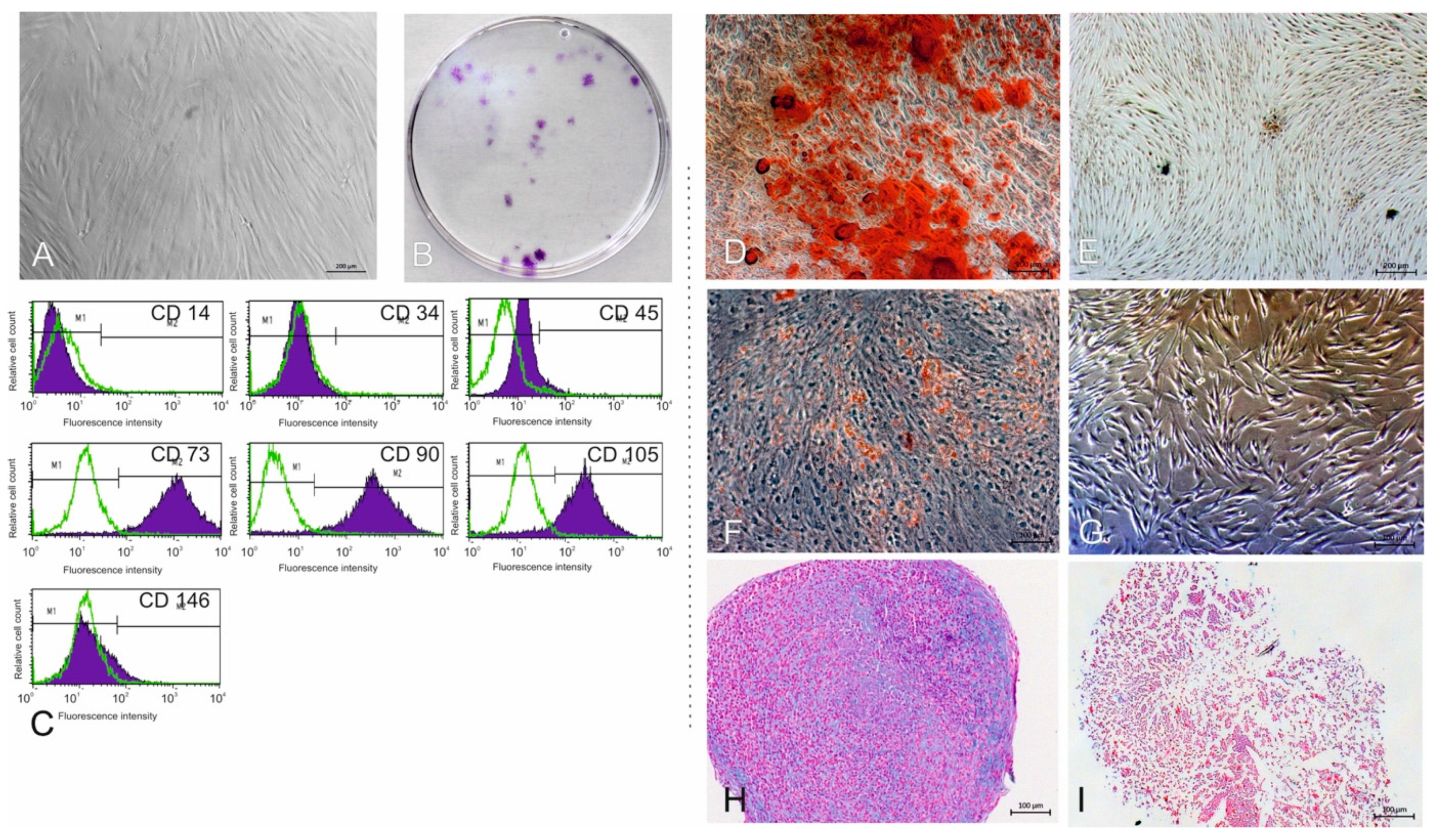 Cells 10 03310 g001 550