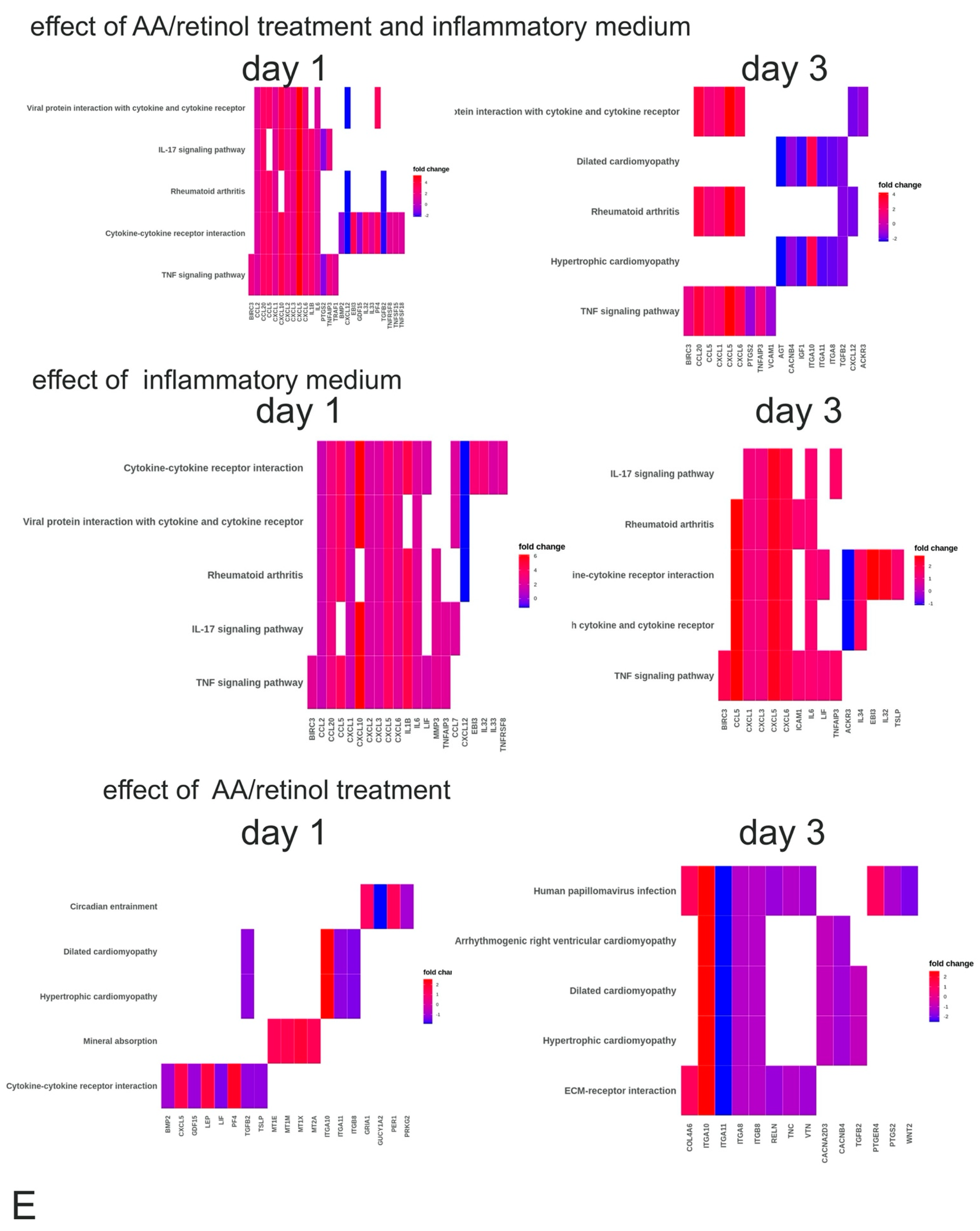 Cells 10 03310 g003b 550