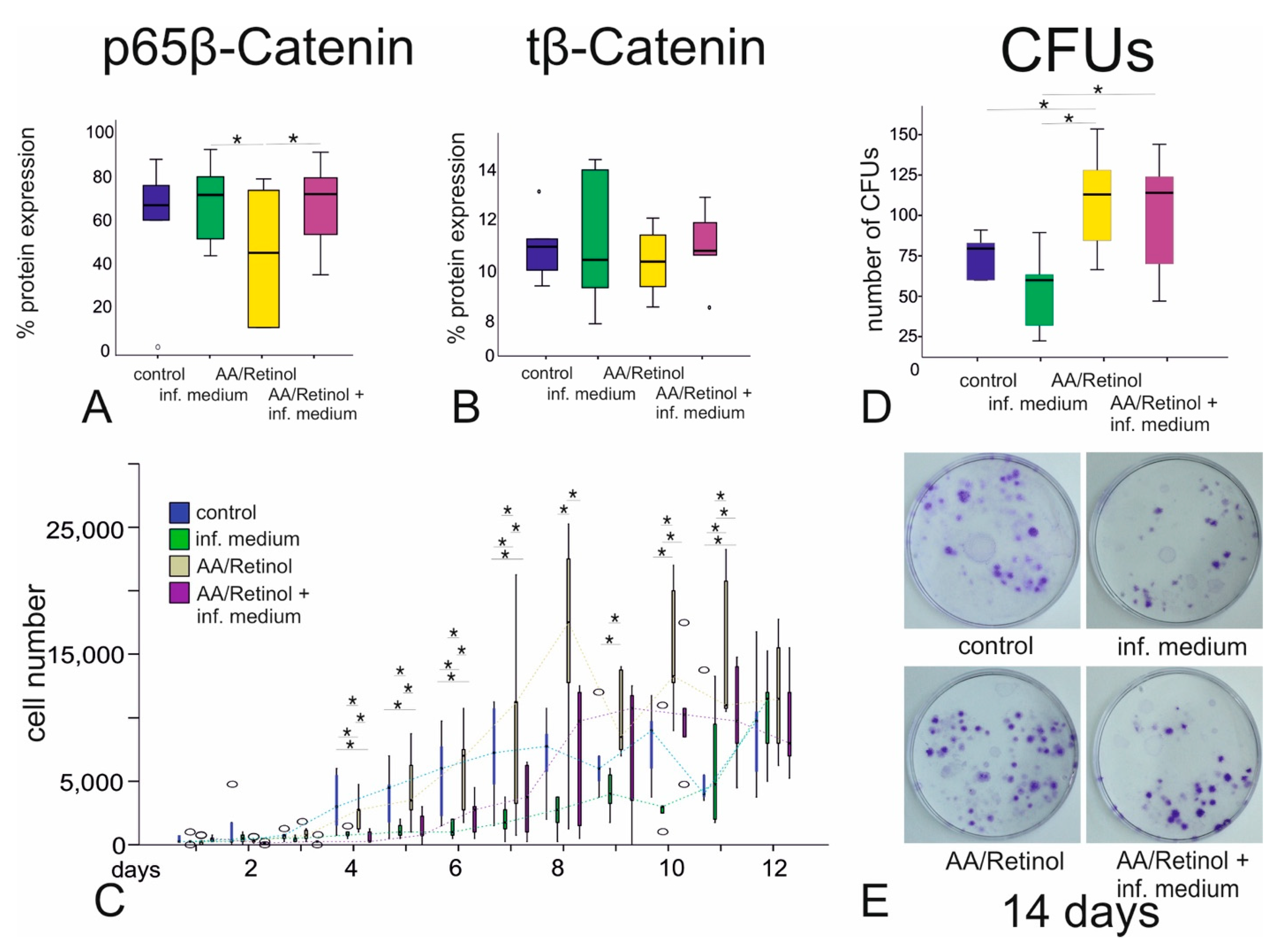 Cells 10 03310 g004 550