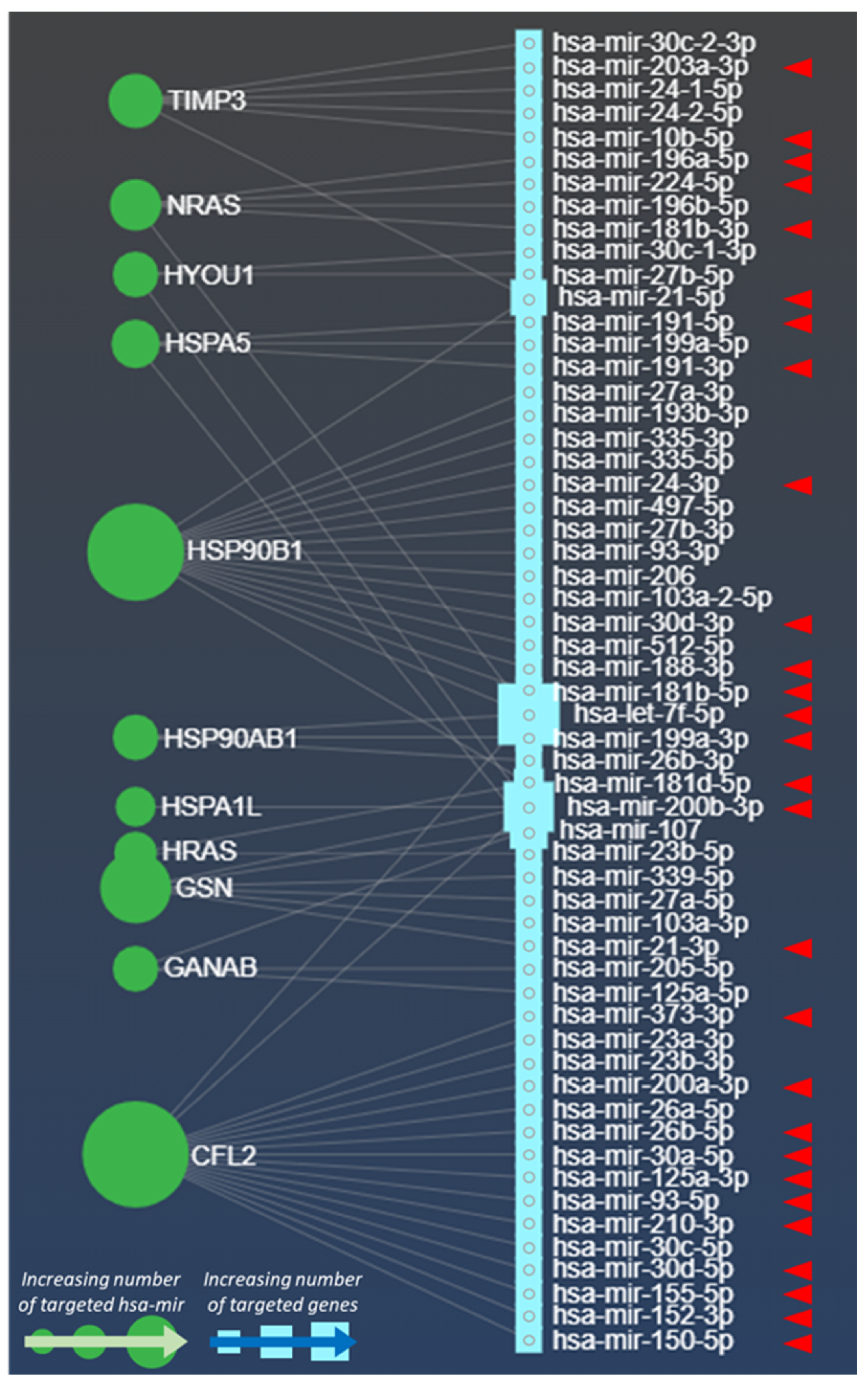 Cells 10 03311 g001 Cells 10 03311 g001