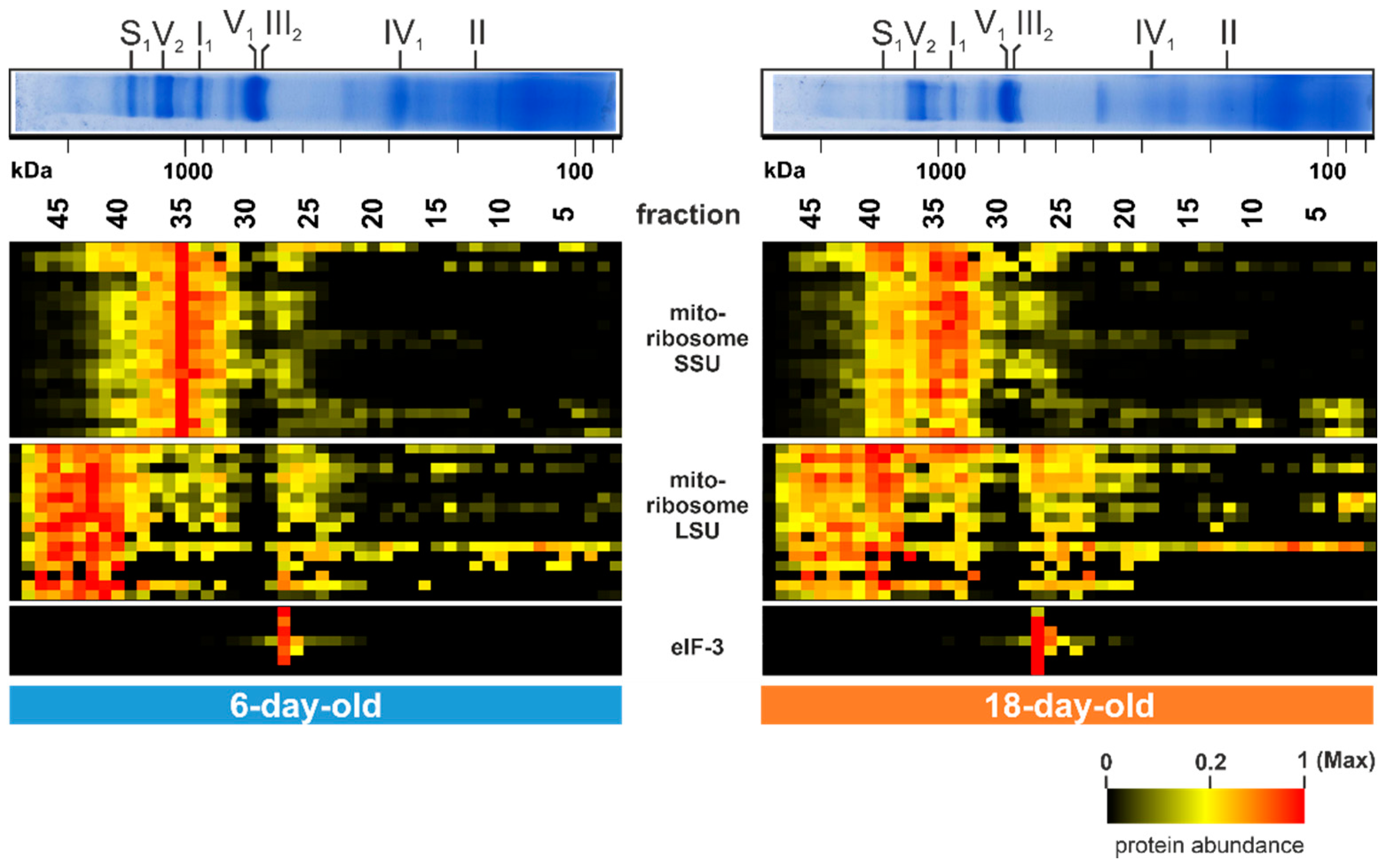 Cells 10 03319 g005 Cells 10 03319 g005