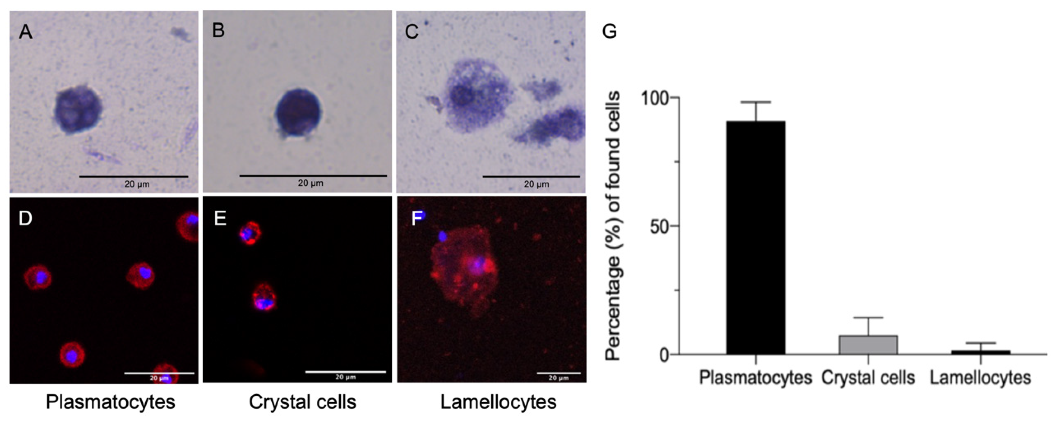 Cells 10 03320 g001 Cells 10 03320 g001