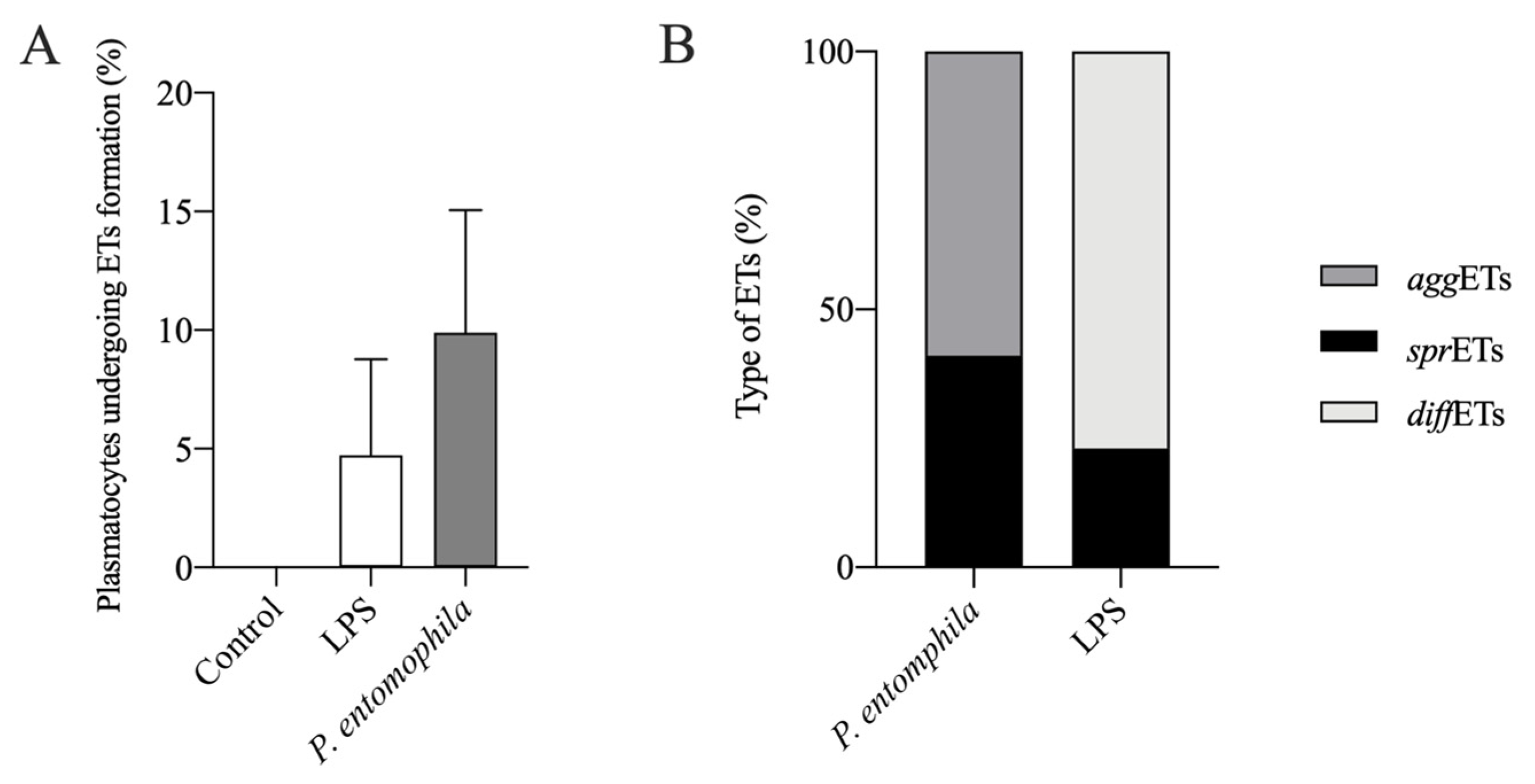 Cells 10 03320 g005 Cells 10 03320 g005