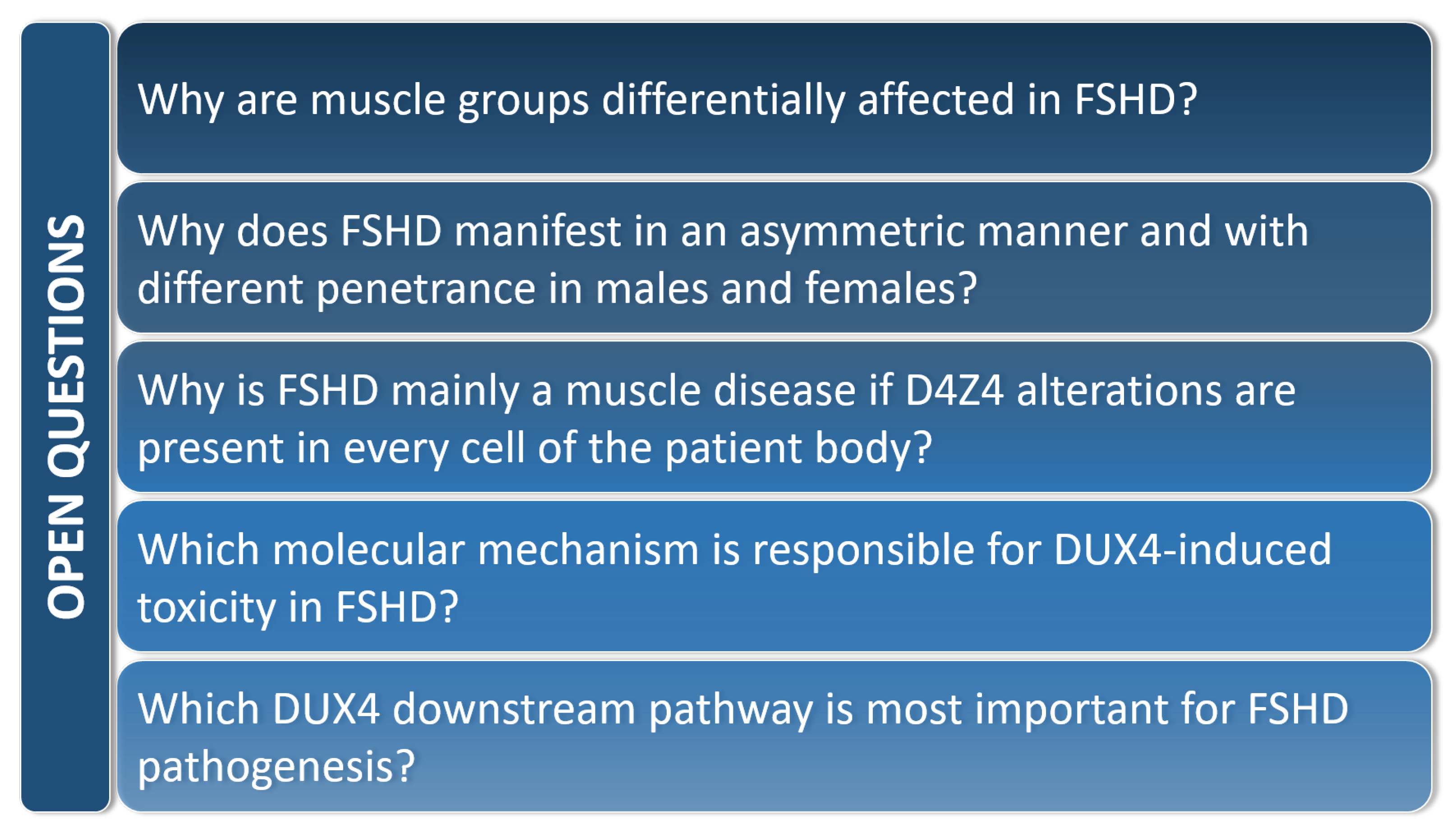 Cells 10 03322 g005 Cells 10 03322 g005