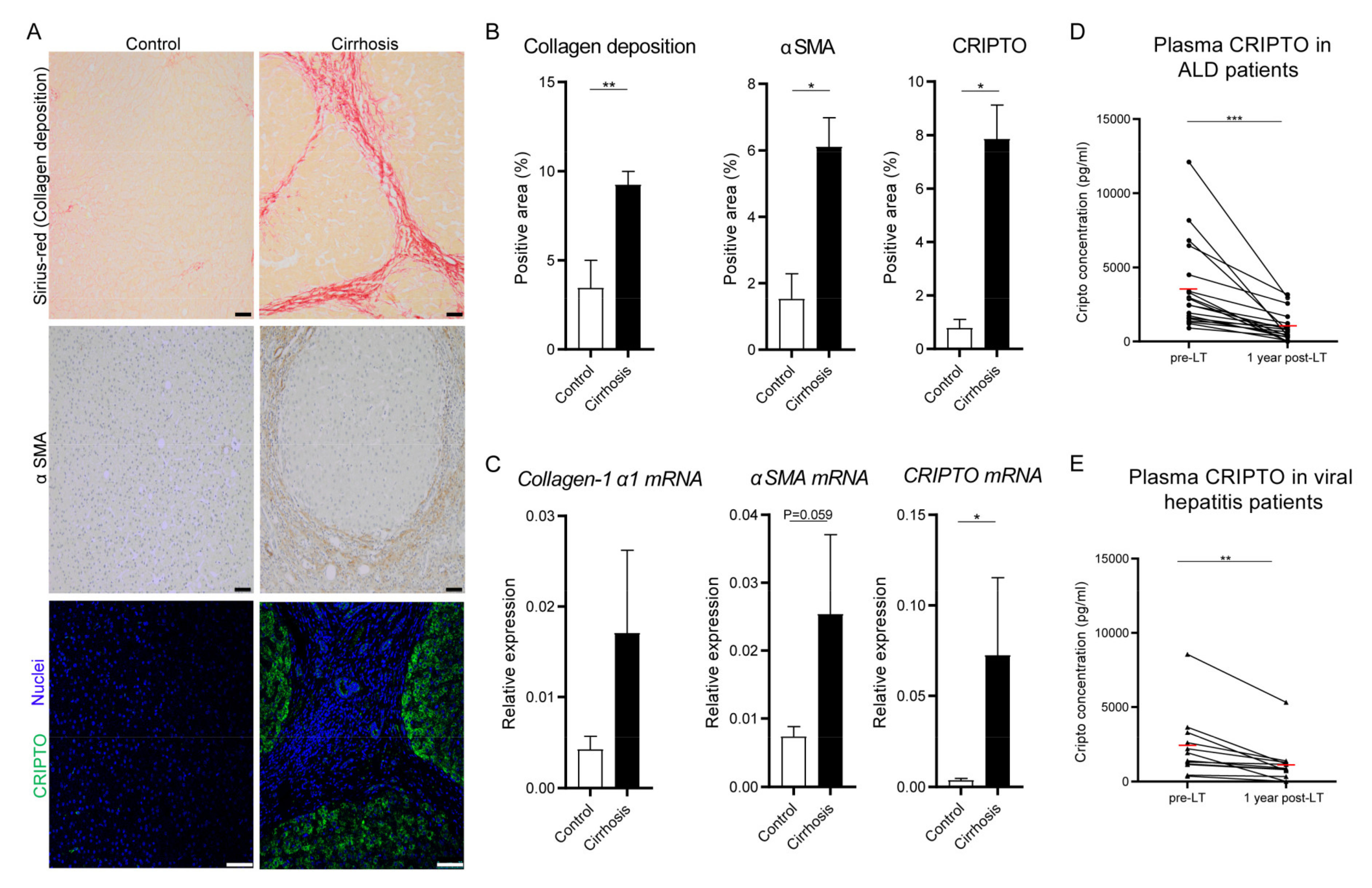 Cells 10 03325 g001 Cells 10 03325 g001