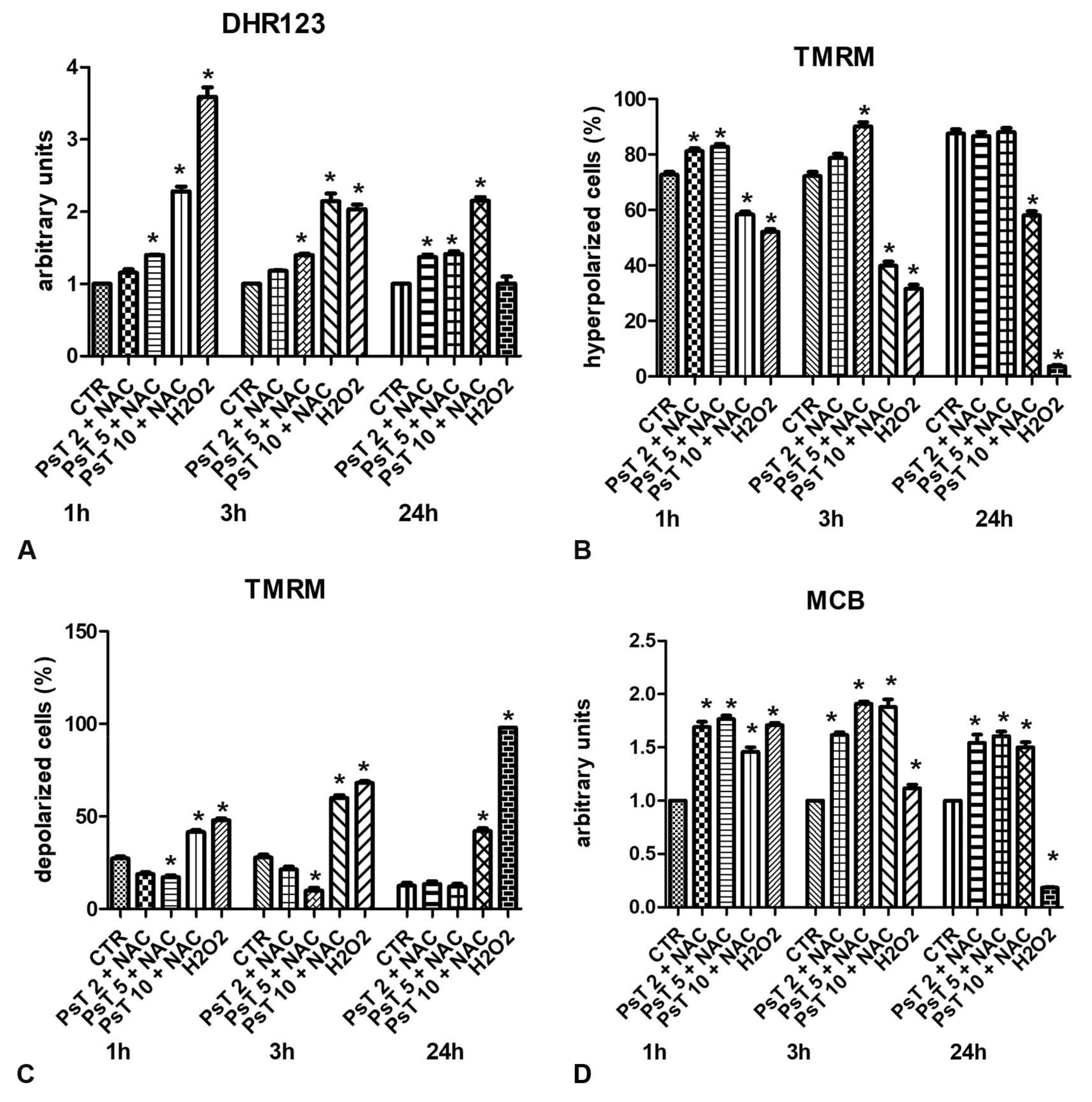 Cells 10 03326 g006 550