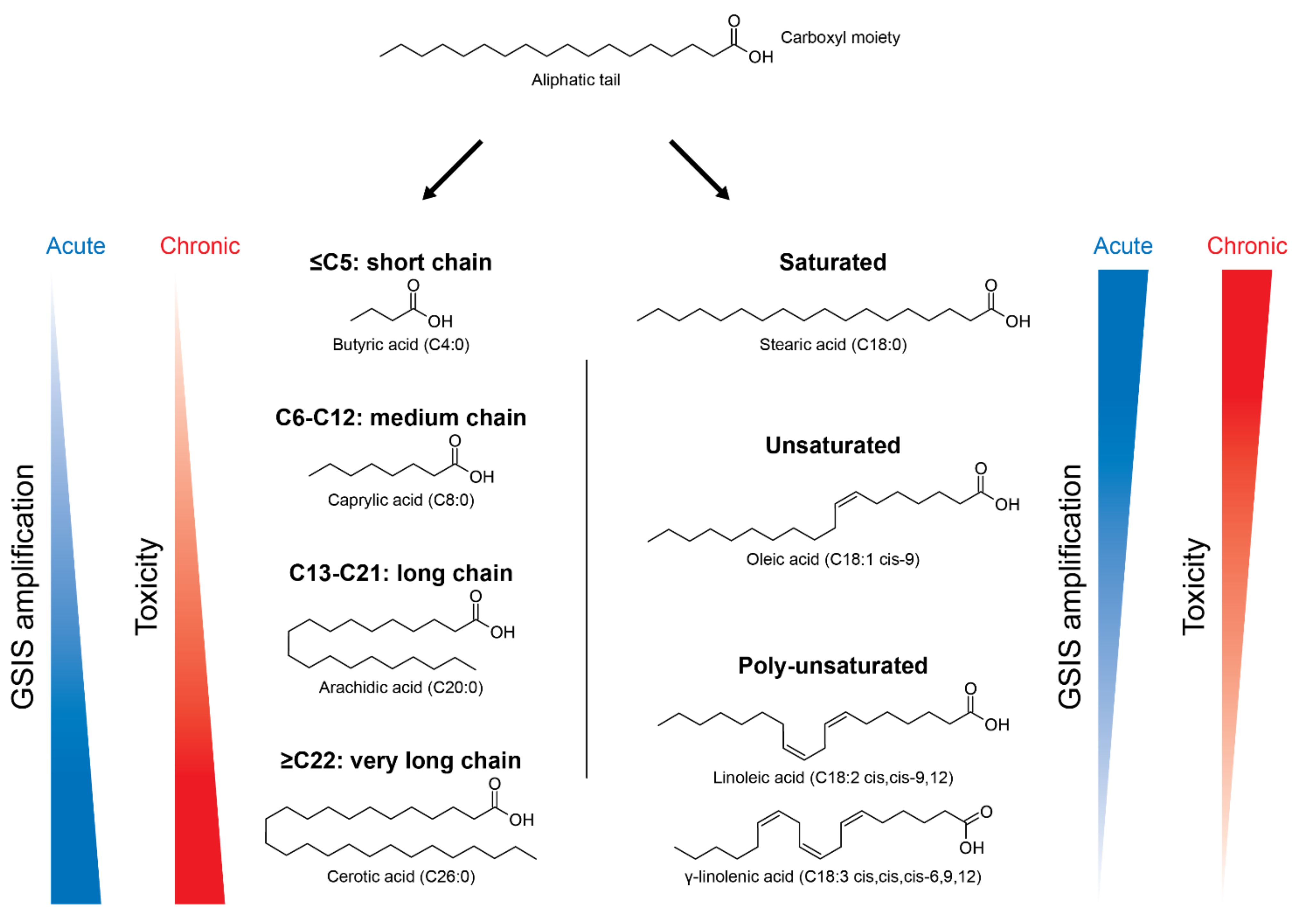 Cells 10 03328 g001 Cells 10 03328 g001