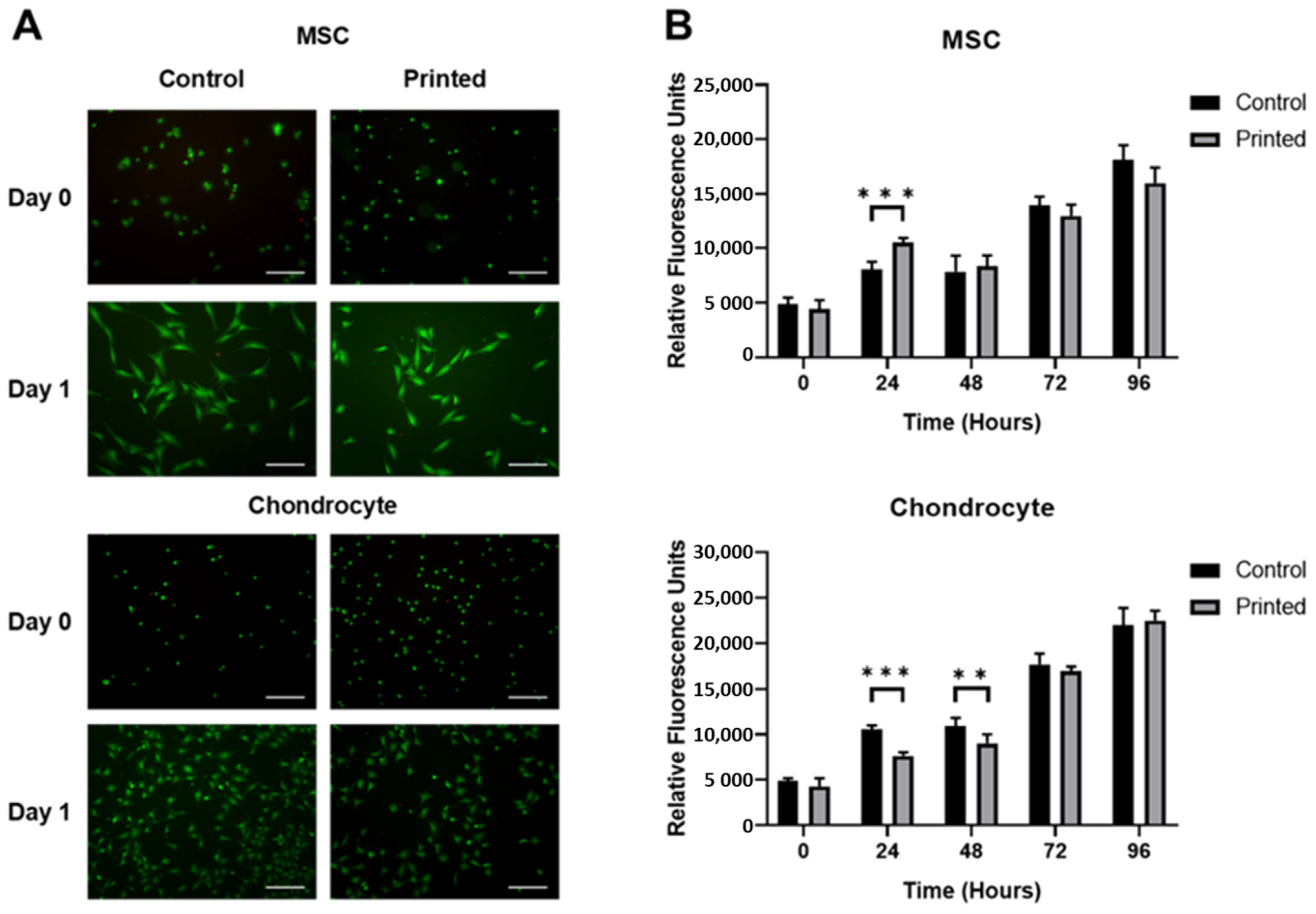 Cells 10 03329 g004 Cells 10 03329 g004