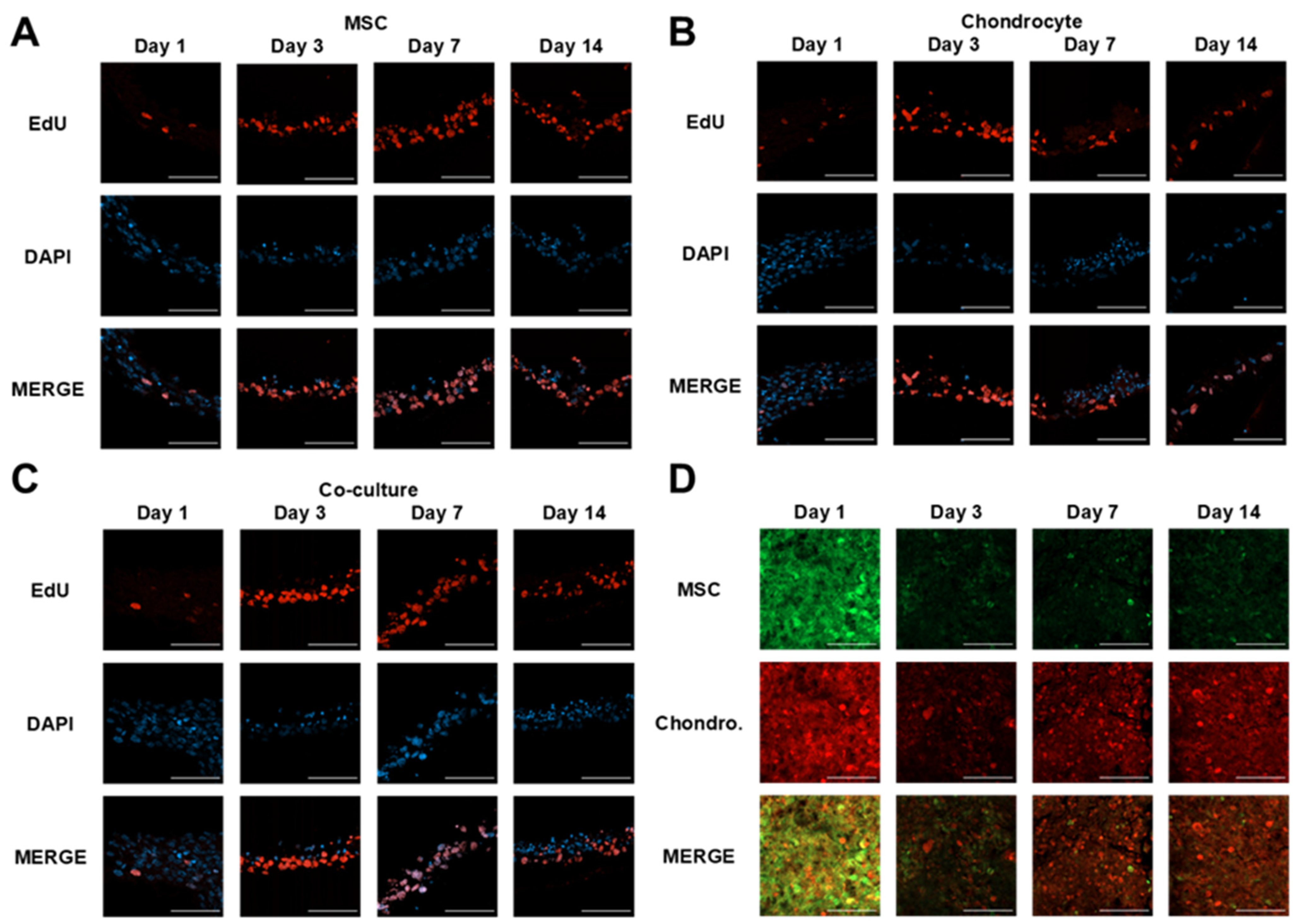 Cells 10 03329 g007 Cells 10 03329 g007