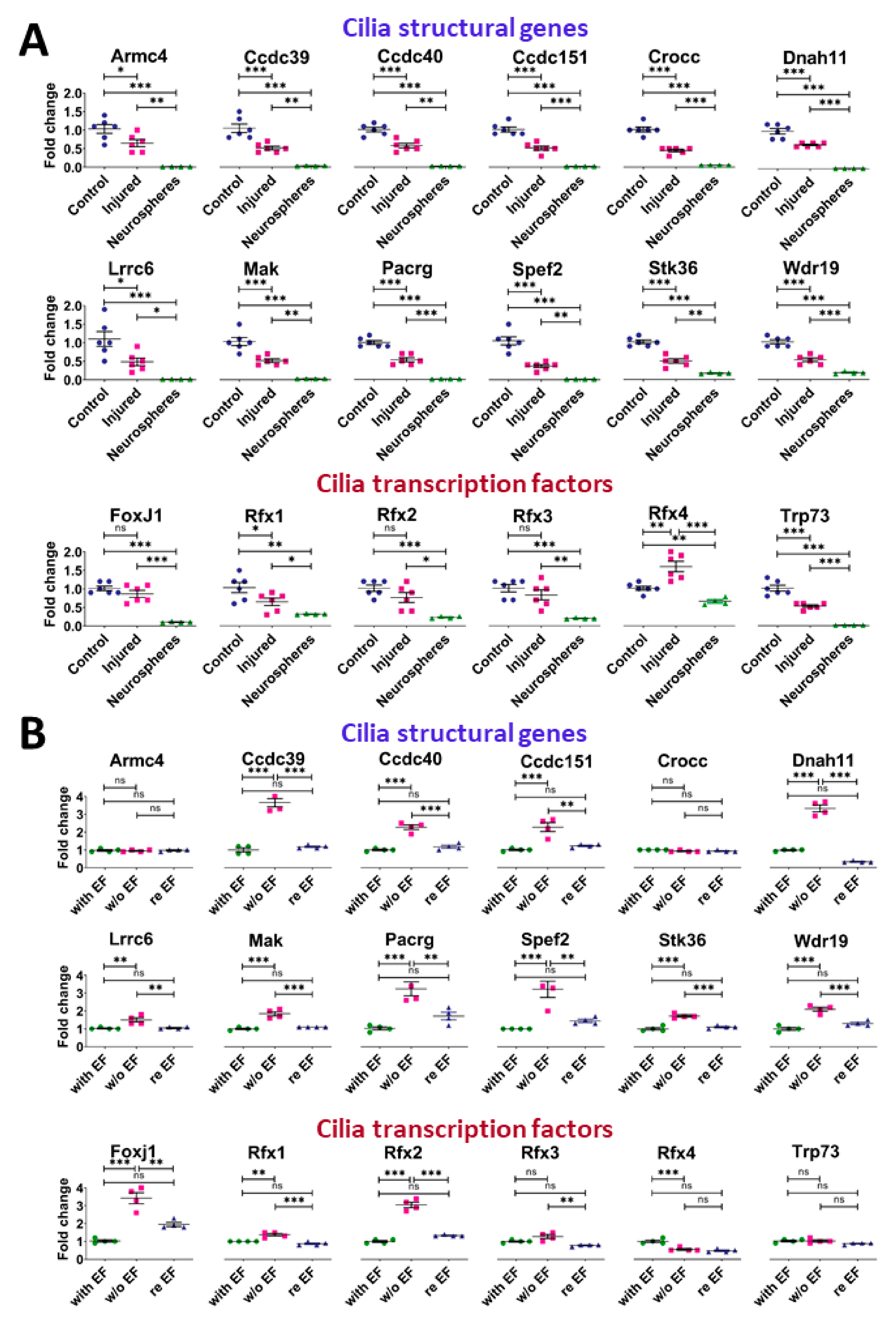 Cells 10 03332 g004 550