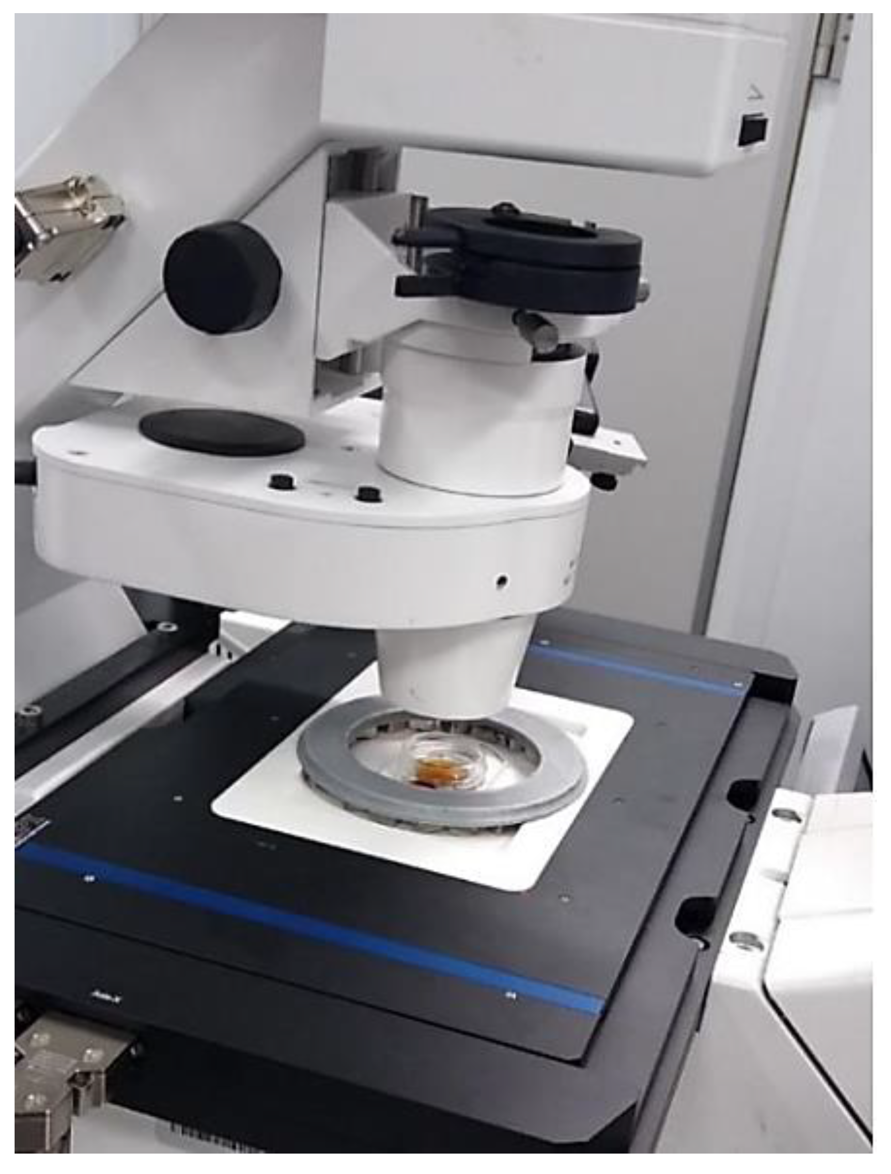 Cells 10 03339 g011 550