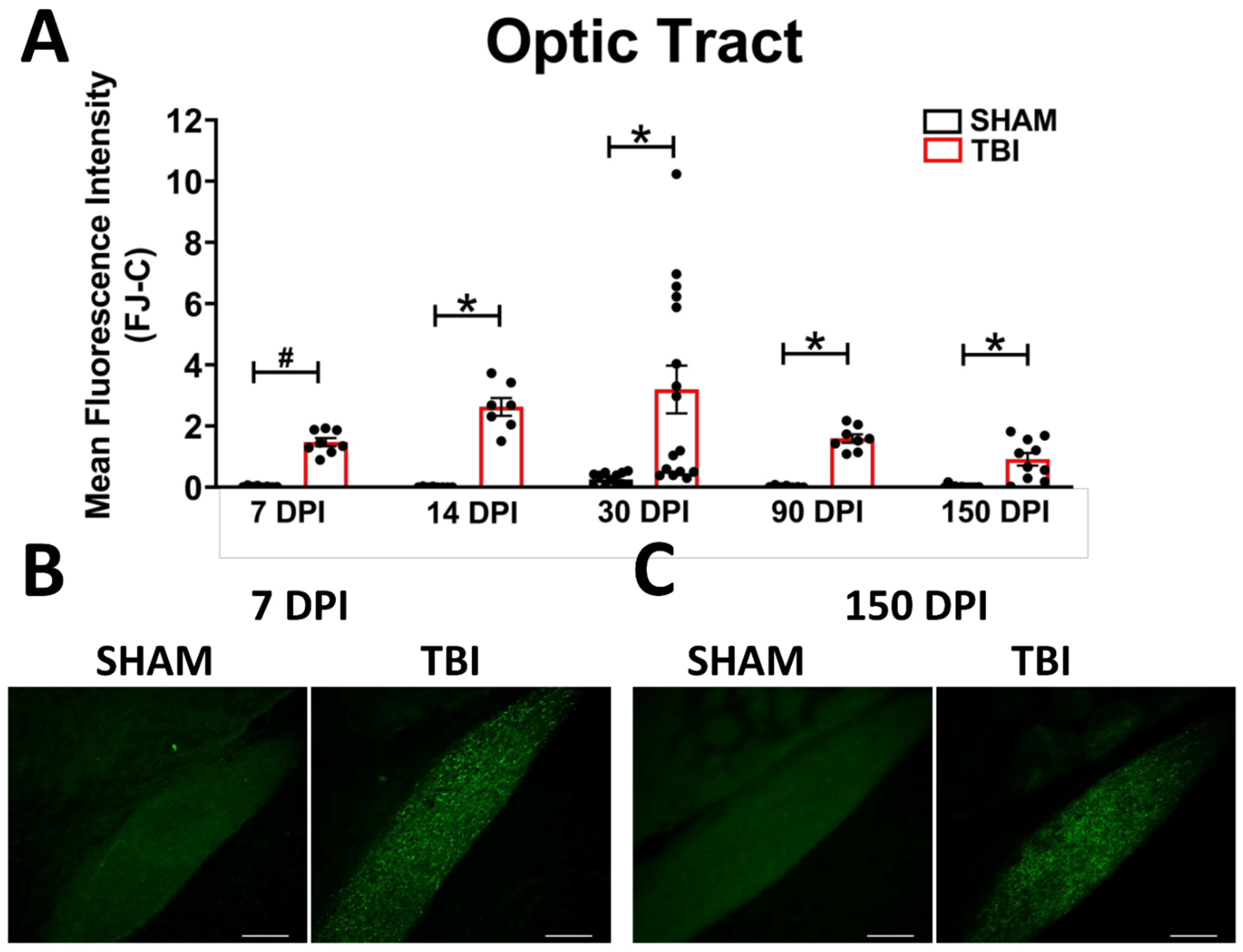 Cells 10 03343 g002 550