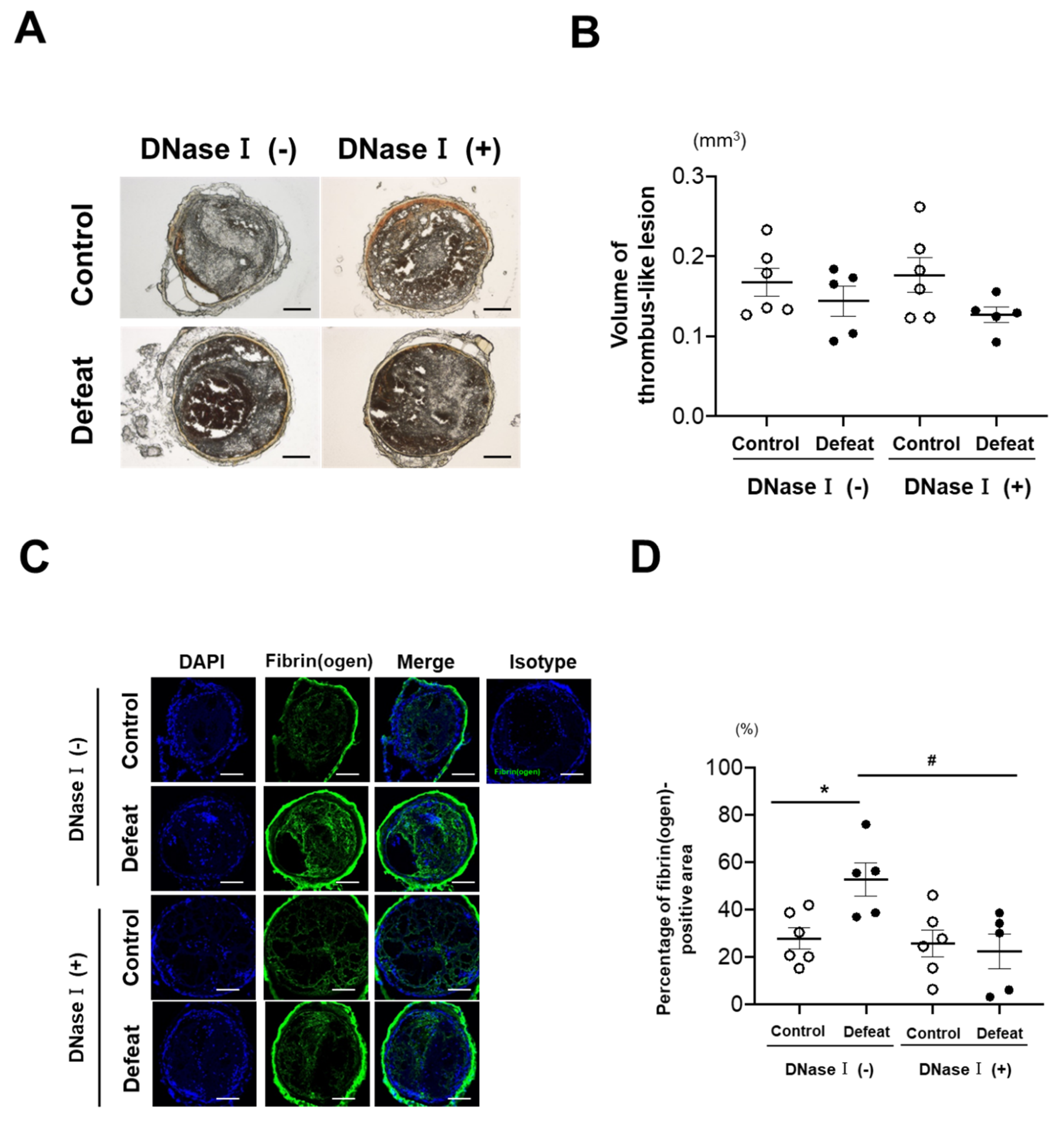 Cells 10 03344 g003a