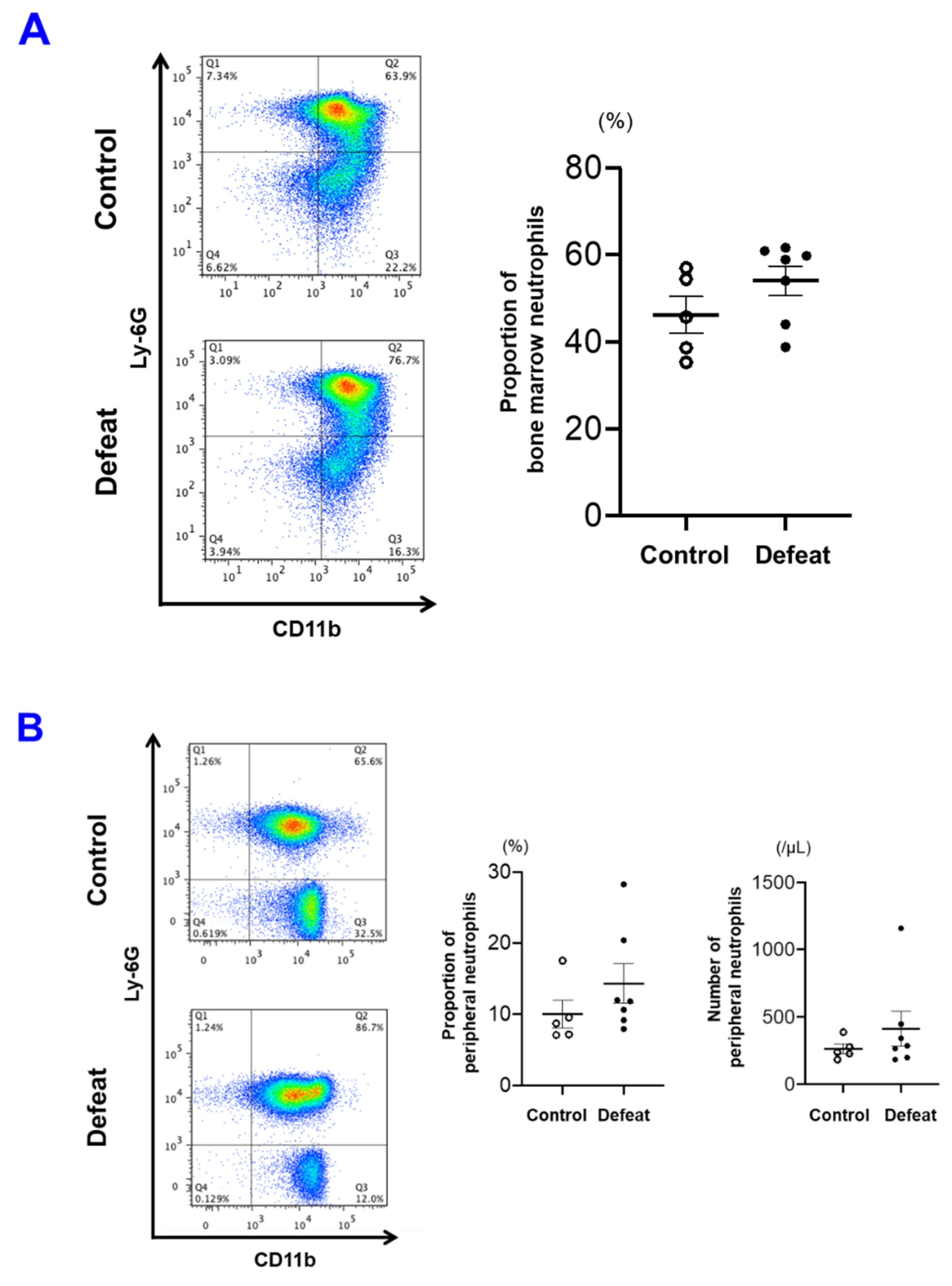 Cells 10 03344 g005a
