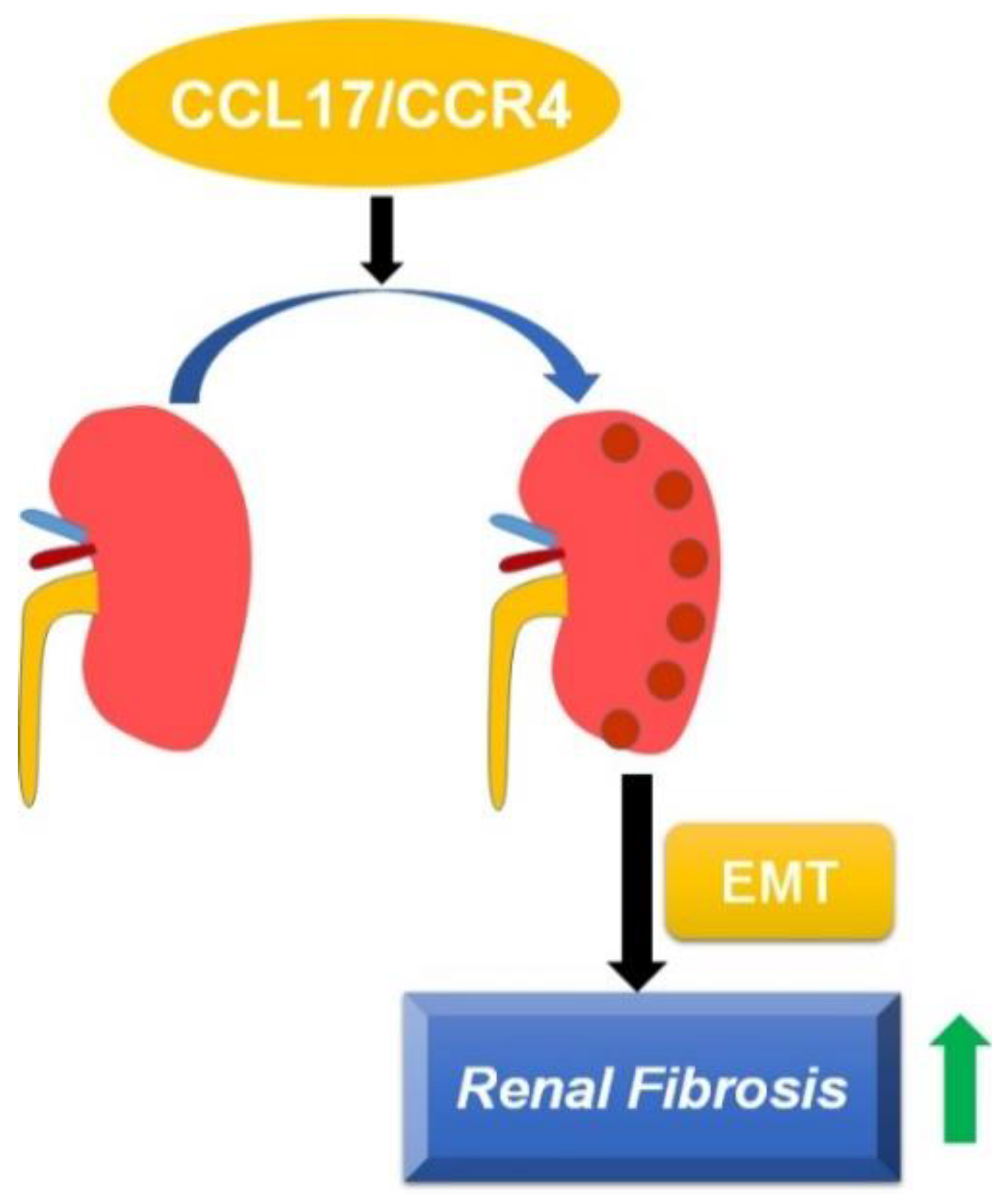 Cells 10 03345 g006 550