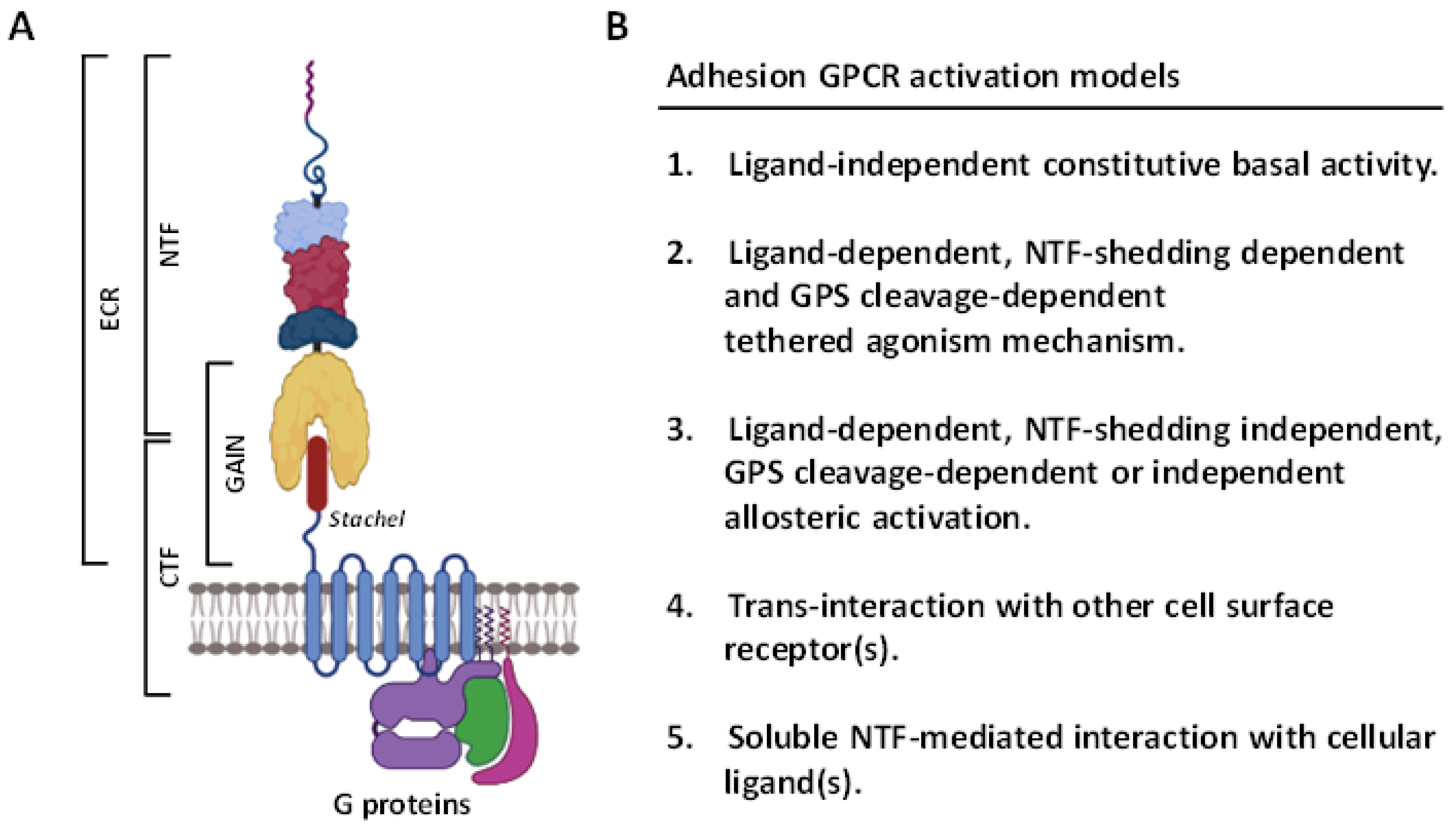 Cells 10 03352 g001 Cells 10 03352 g001
