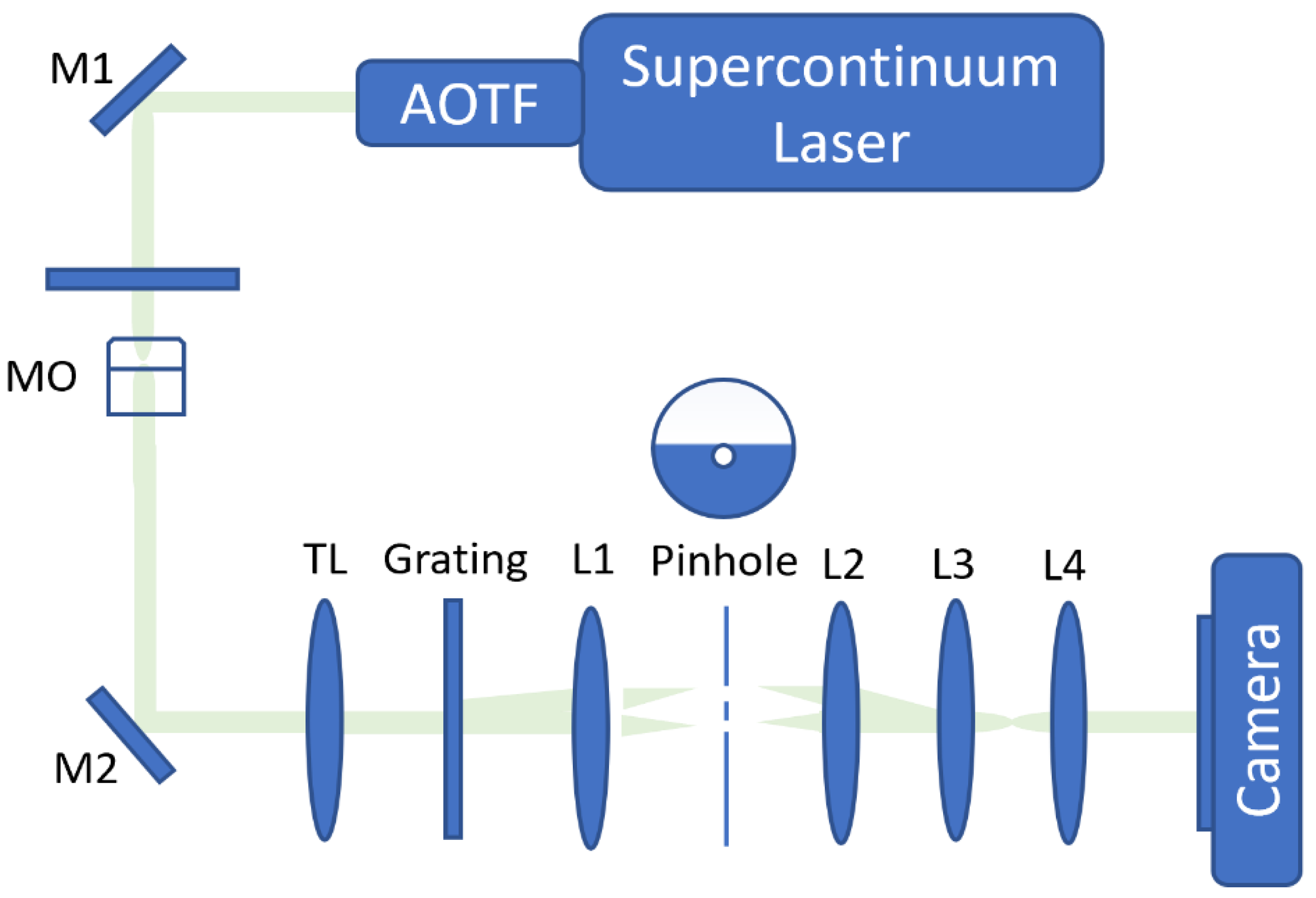 Cells 10 03353 g001 550