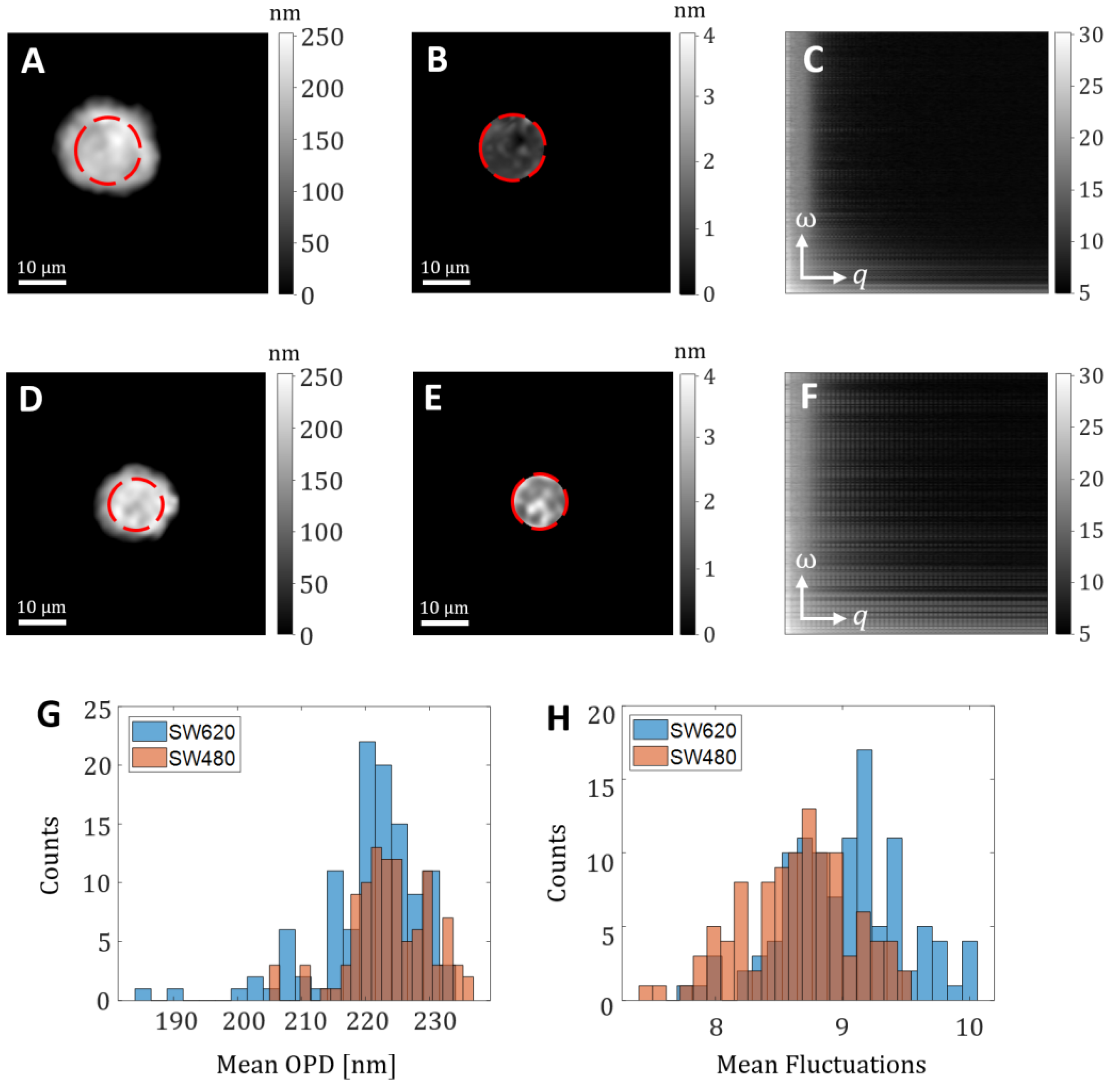 Cells 10 03353 g003 550