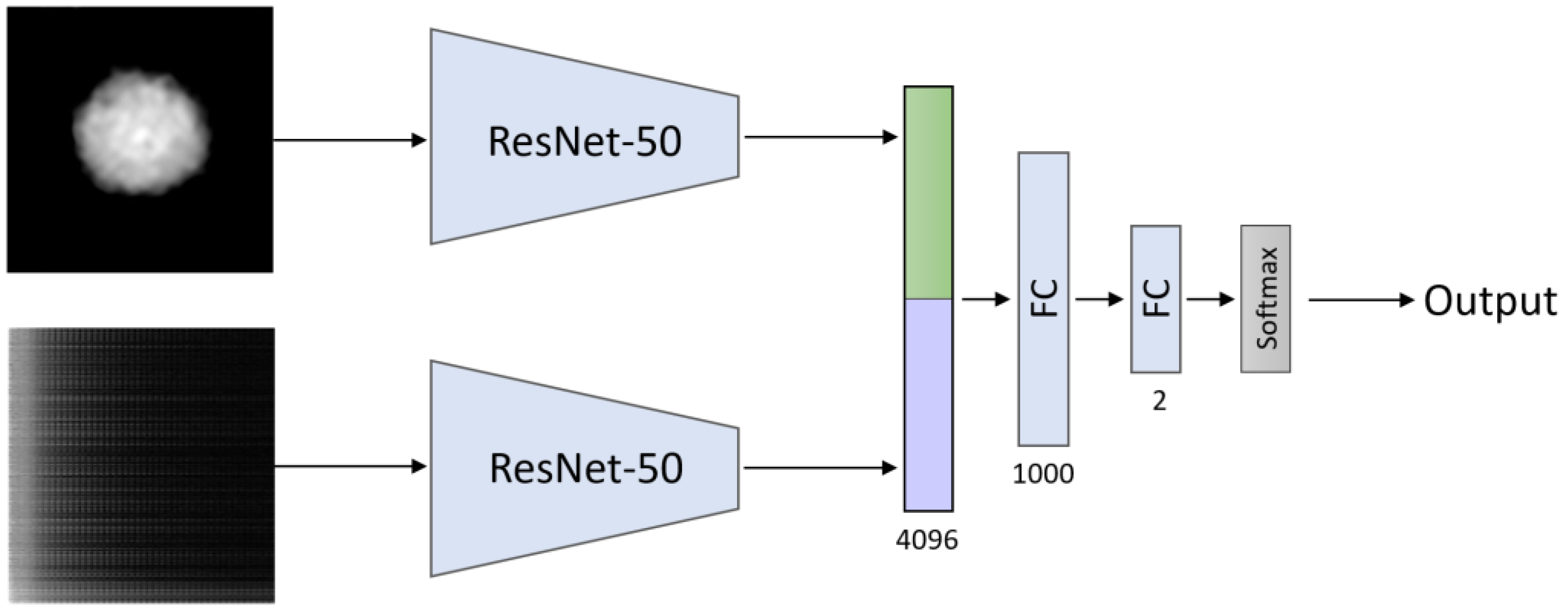 Cells 10 03353 g004 550